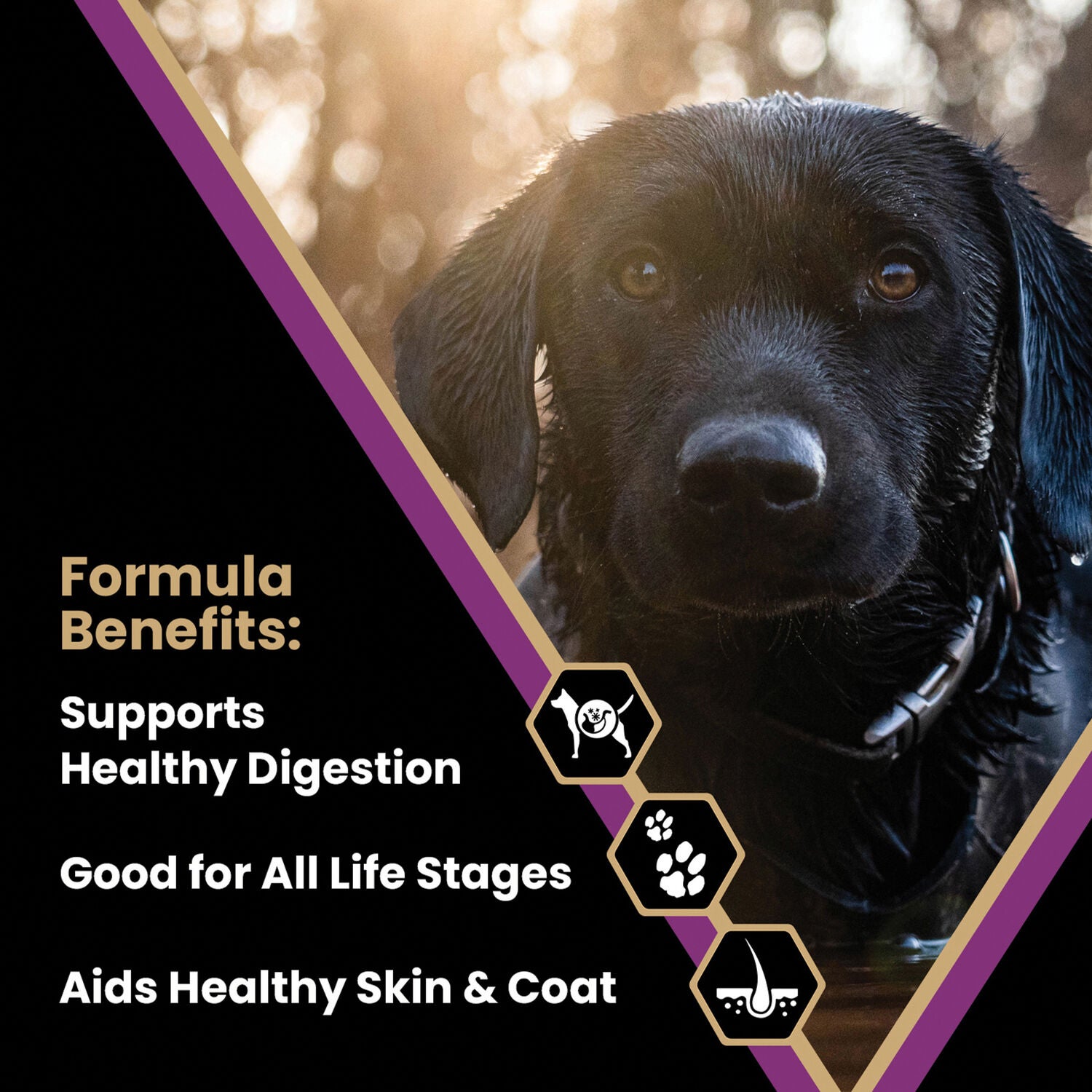 Victor Classic Professional Dry Dog Food
