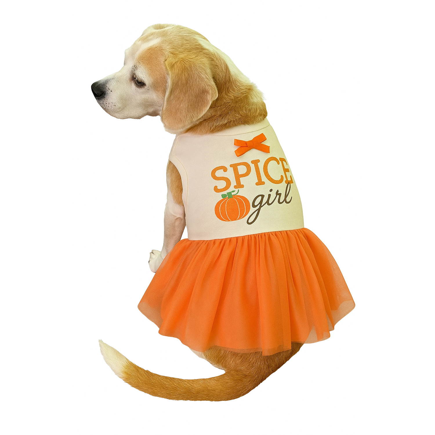 Simply Dog Spice Girl Orange Dog Dress, Large