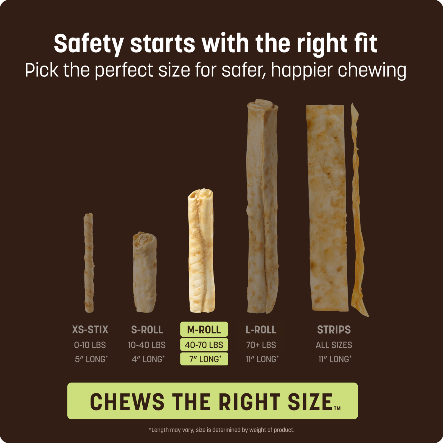 Earth Animal No-Hide Rawhide Alternative Salmon Recipe Medium Dog Chew Treat, 7"