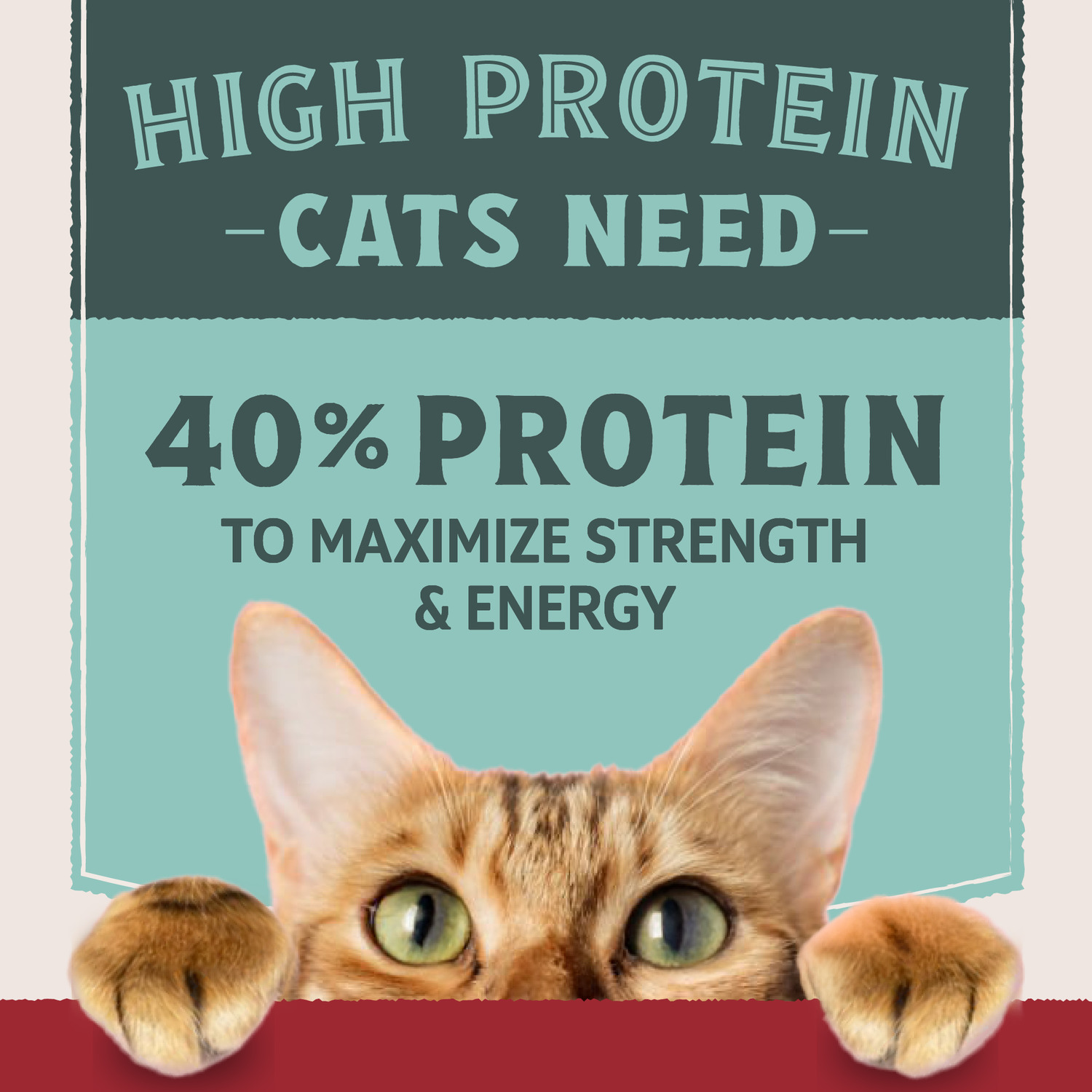 Natural Balance Ultra Protein Dry Cat Food, Real Chicken & Chicken Meal Recipe, 3 Lbs