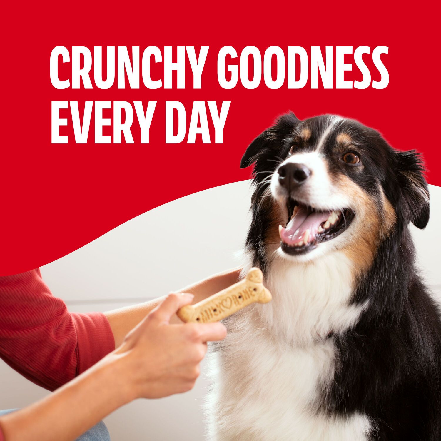 Milk-Bone Milk Bone Original Biscuits Large Dog Treats, 10-Lb Box