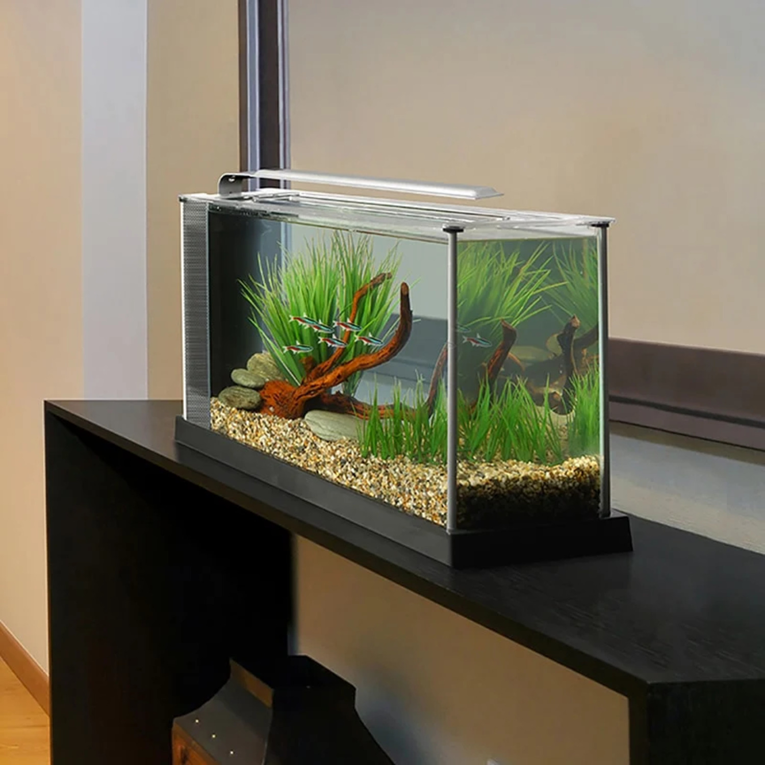 Fluval Spec Desktop Fish Aquarium Kit, 5 Gallon - Black