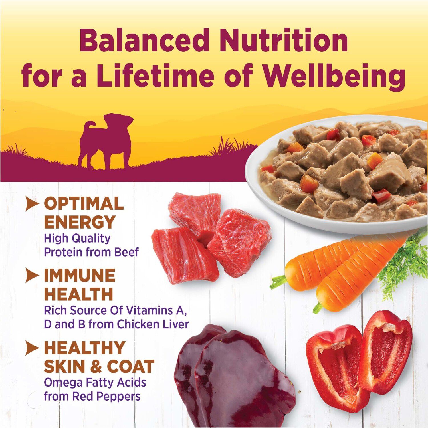 Wellness Petite Entr&eacute;es Mini-Filets Small Breed Wet Dog Food With Roasted Beef, Carrots & Red Peppers In Gravy, 3-Ounce Cup