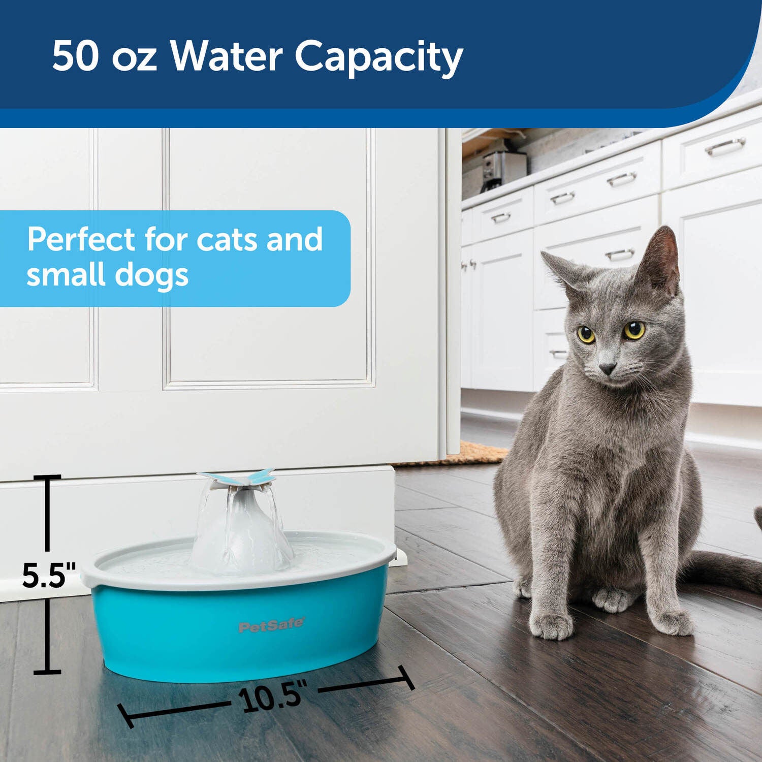 Petsafe Butterfly Fountain For Cats & Dogs, 50 Oz