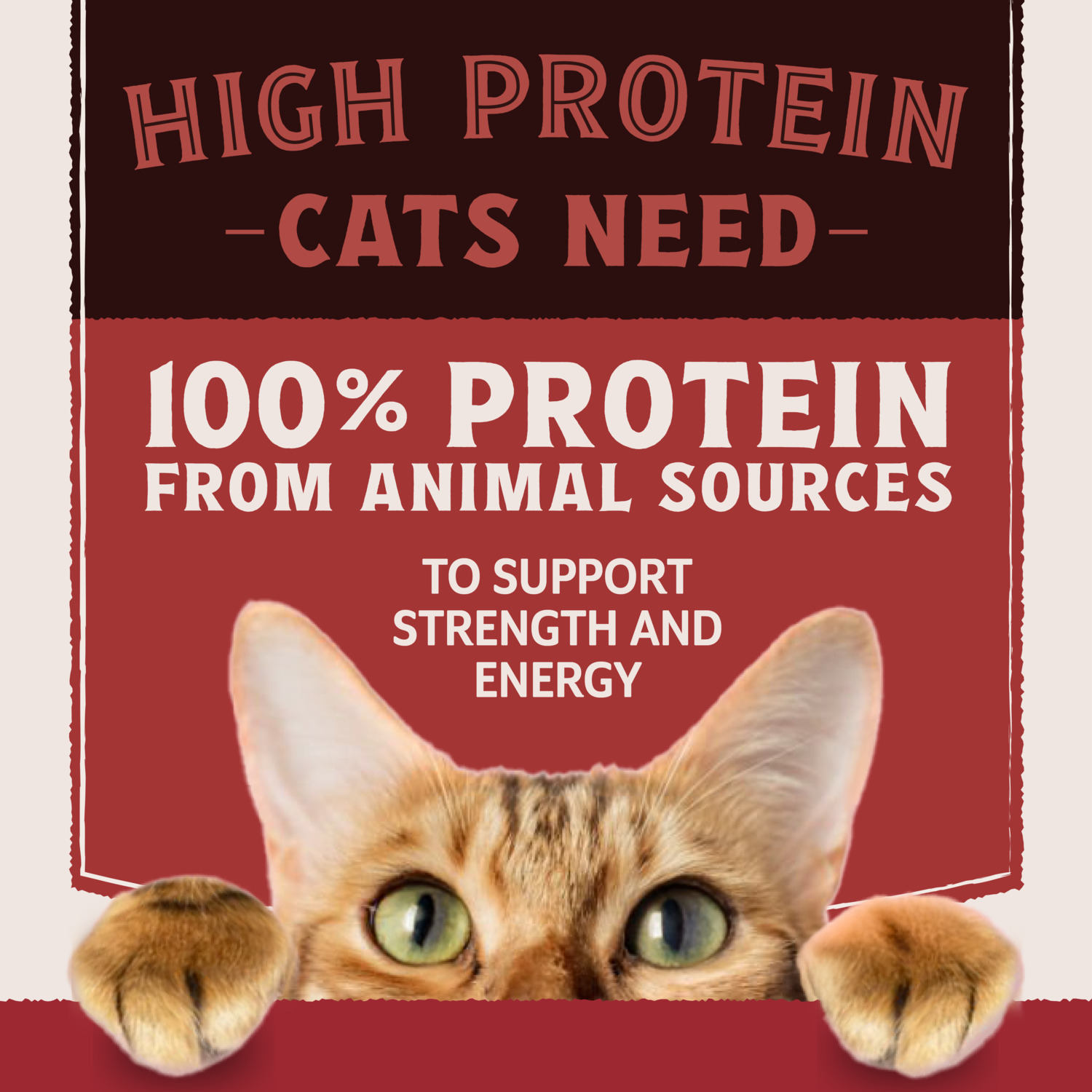 Natural Balance Ultra Protein Wet Cat Food, Salmon & Chicken Recipe In Broth, 2.8 Oz. Pack Of 12