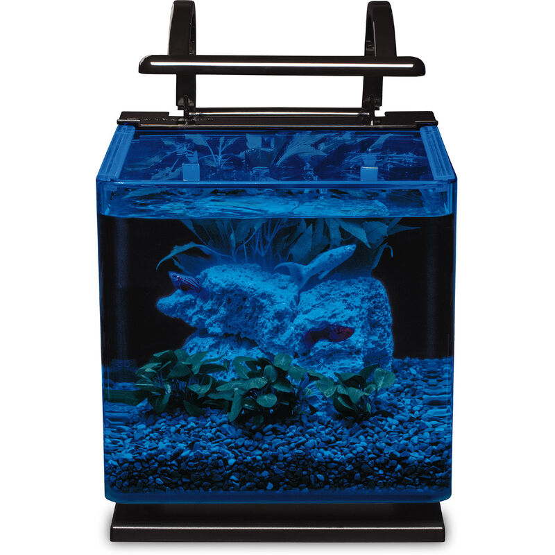 Marineland Contour Led Desktop Fish Aquarium Kit, 3 Gal