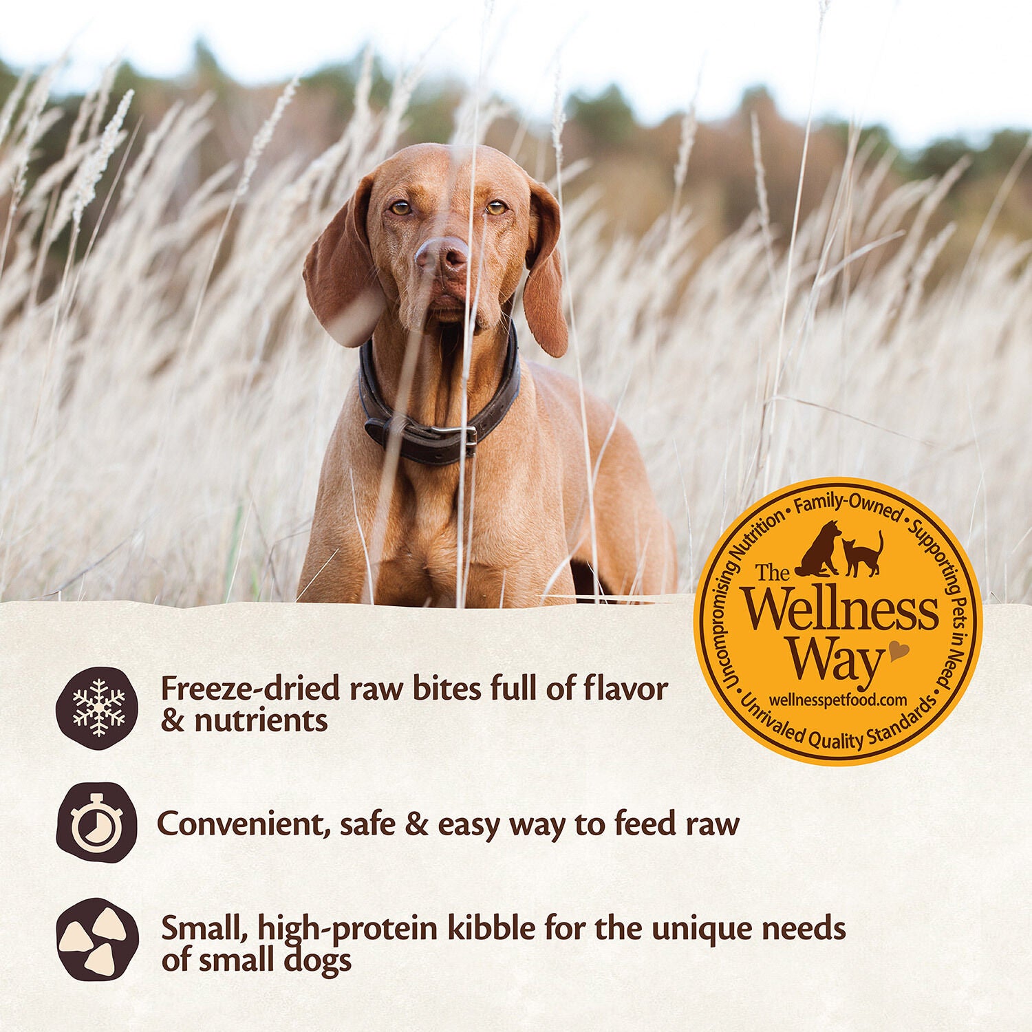 Wellness Core RawRev Natural Grain Free Original Chicken with Freeze Dried Turkey Small Breed Dry Dog Food 4 lbs