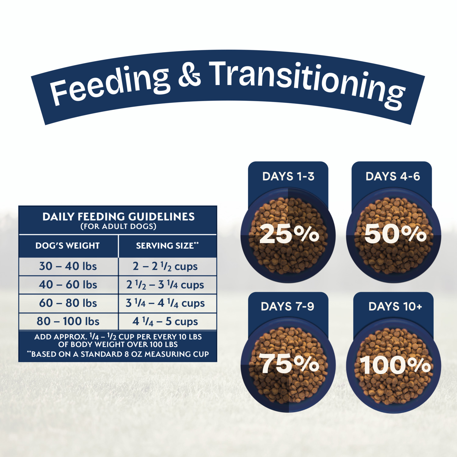 Natural Balance Health Protection Large Breed Dry Dog Food, Salmon & Rice Recipe, 26-Lb Bag