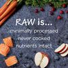 Instinct Raw Boost Grain Free Recipe With Real Salmon Dry Dog Food thumbnail number 6