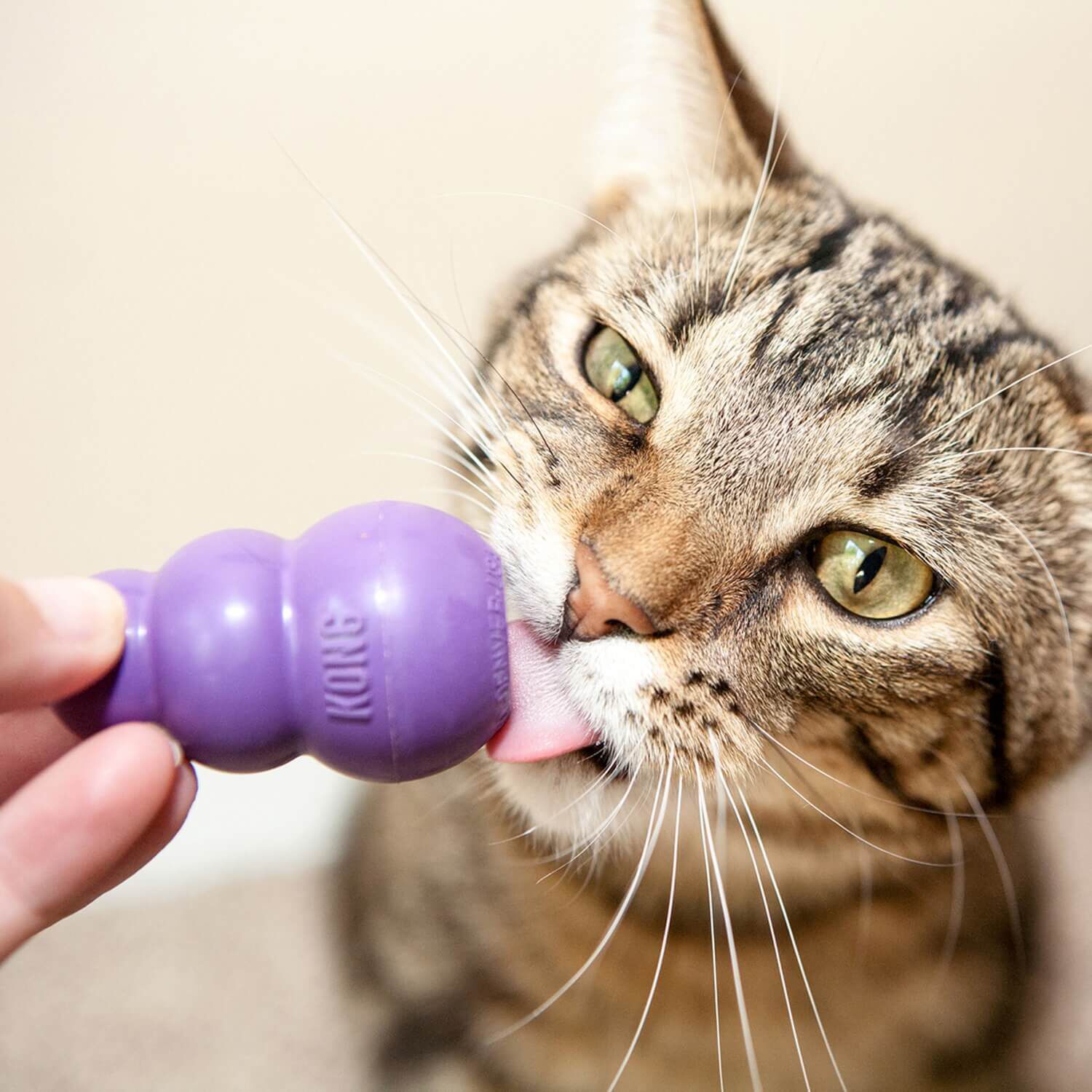 Kong Kitty &reg; Classic Interactive Cat Toy
