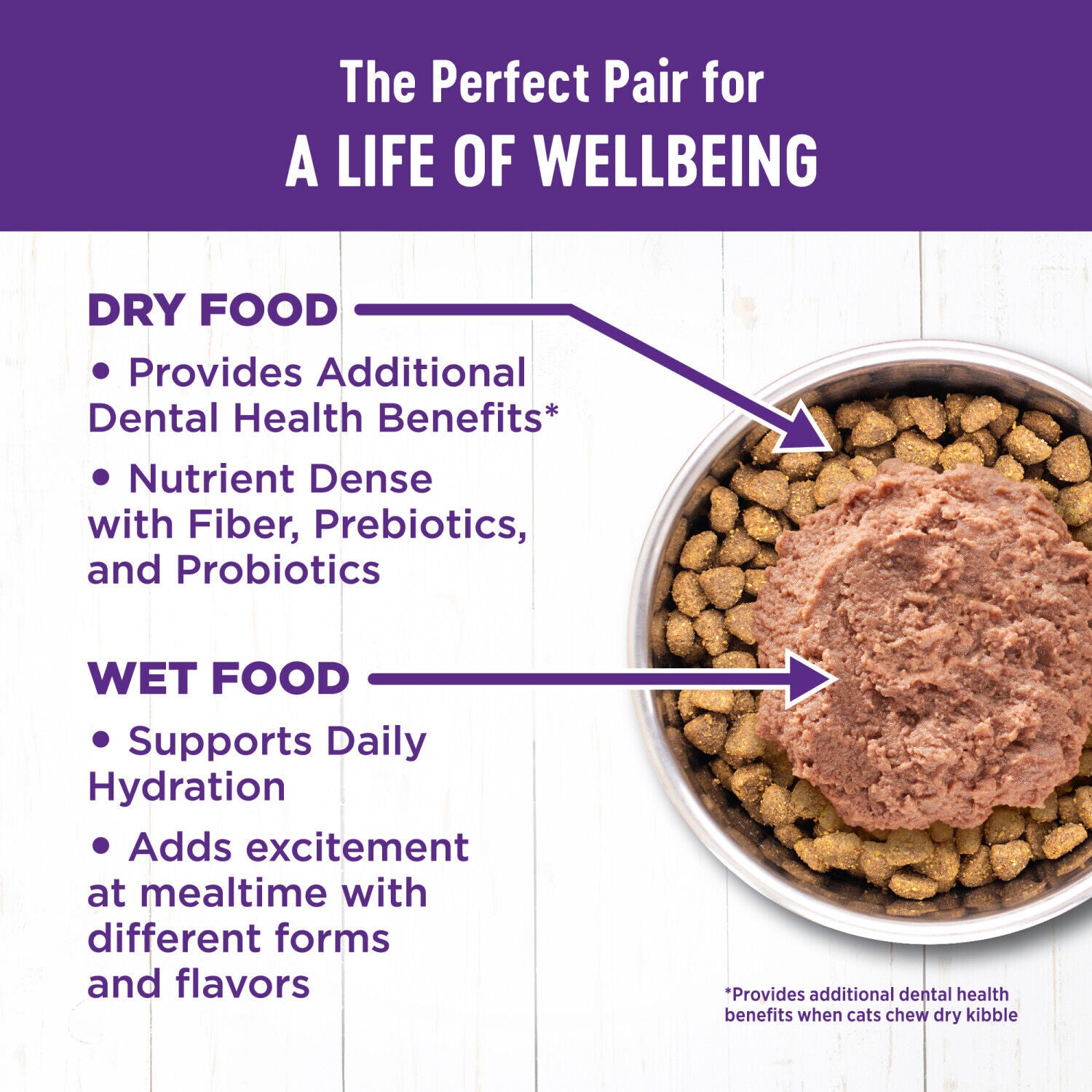 Wellness Complete Health Adult Dry Cat Food For Indoor Cats, Grain Free, Natural, Salmon And Herring Meal - 11.5 Pound Bag