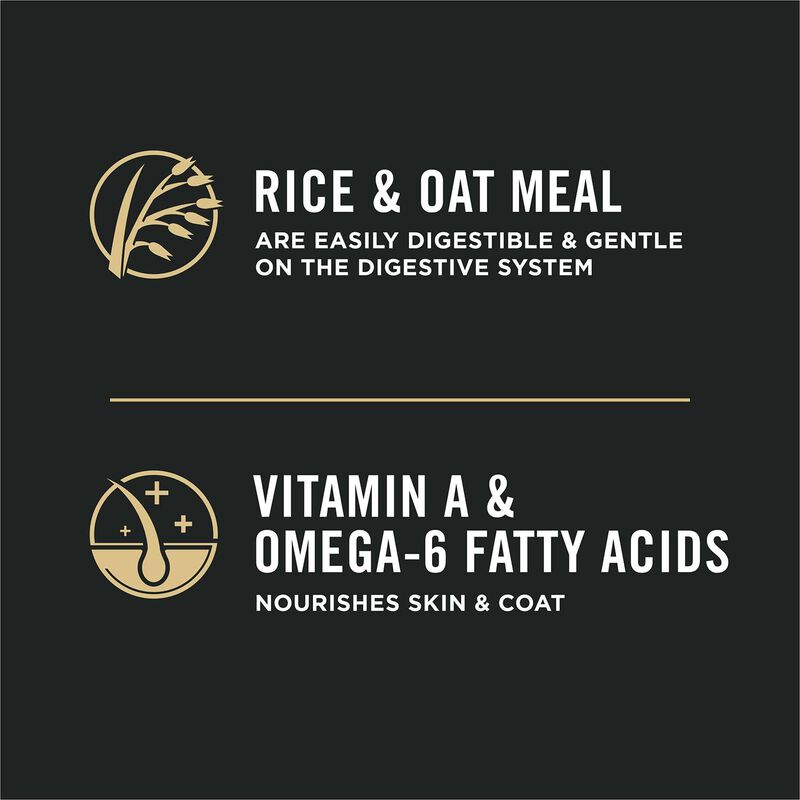 Focus Adult Sensitive Skin & Stomach Lamb & Rice Formula Cat Food image number 16