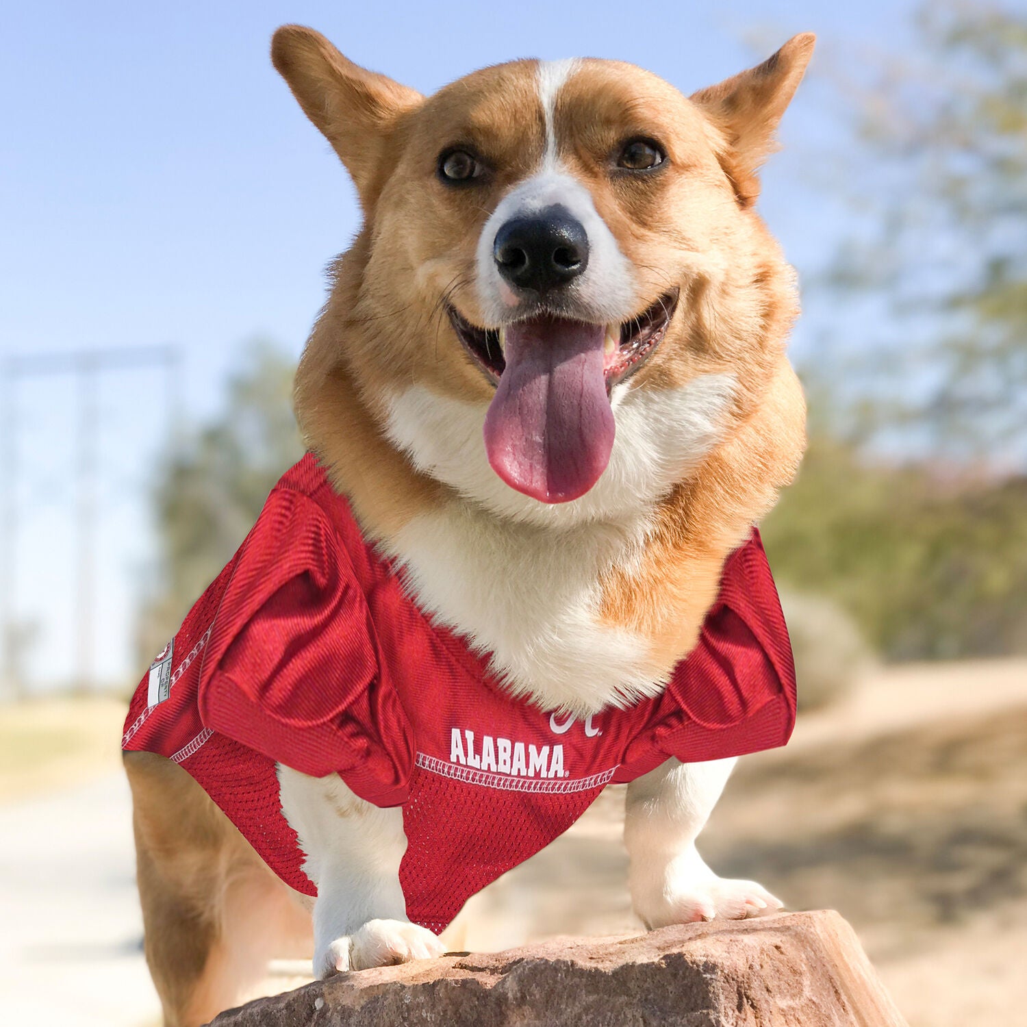 Pets First University Of Alabama Crimson Tide Mesh Dog Jersey, Small