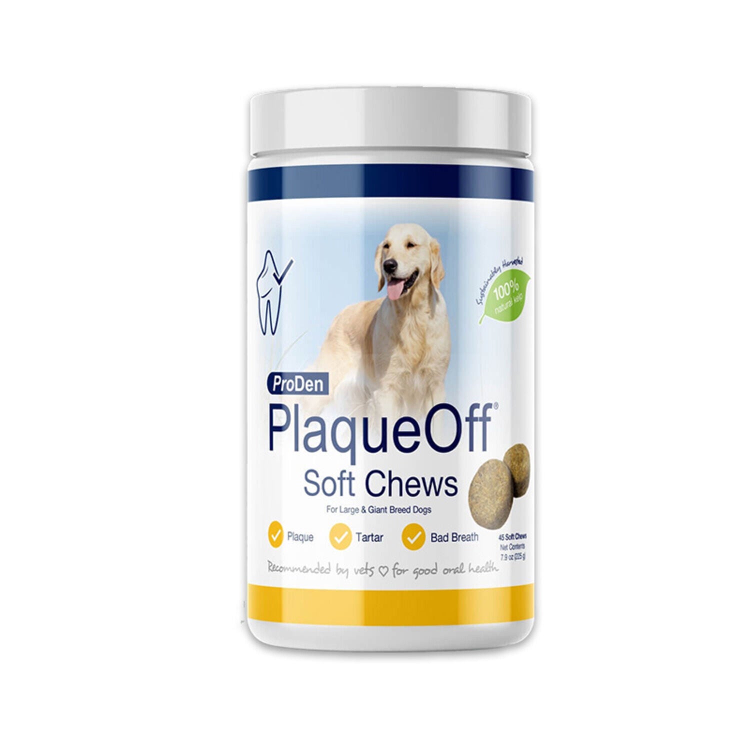 Chewy top plaque off