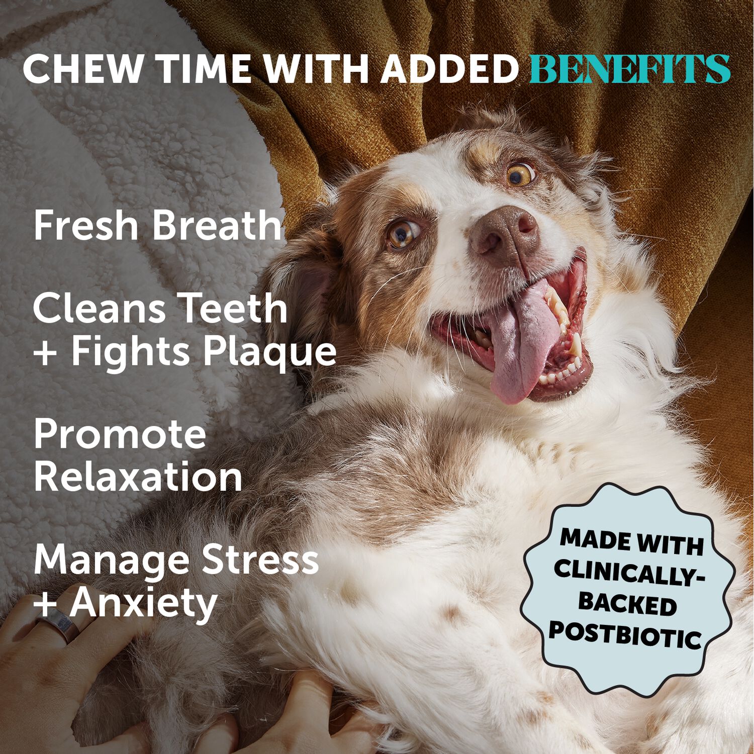 Pet Honesty Hemp Calming Fresh Dental Sticks Dog Chews, Peanut Butter & Pumpkin Flavor, 30-Ct