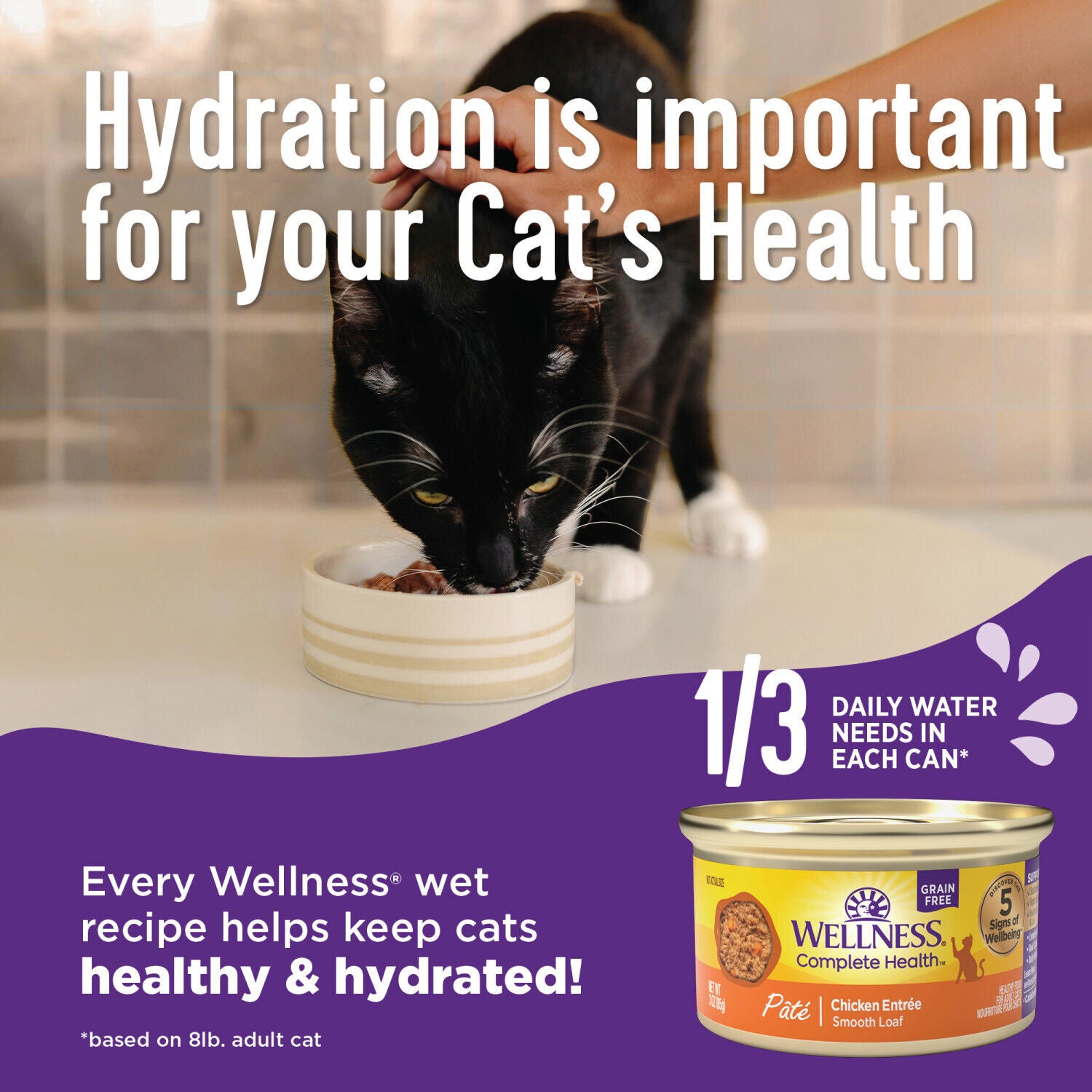 Wellness Complete Health Gravy Adult Wet Cat Food, Natural, Protein-Rich, Grain Free, 3 Ounce , Chicken Dinner