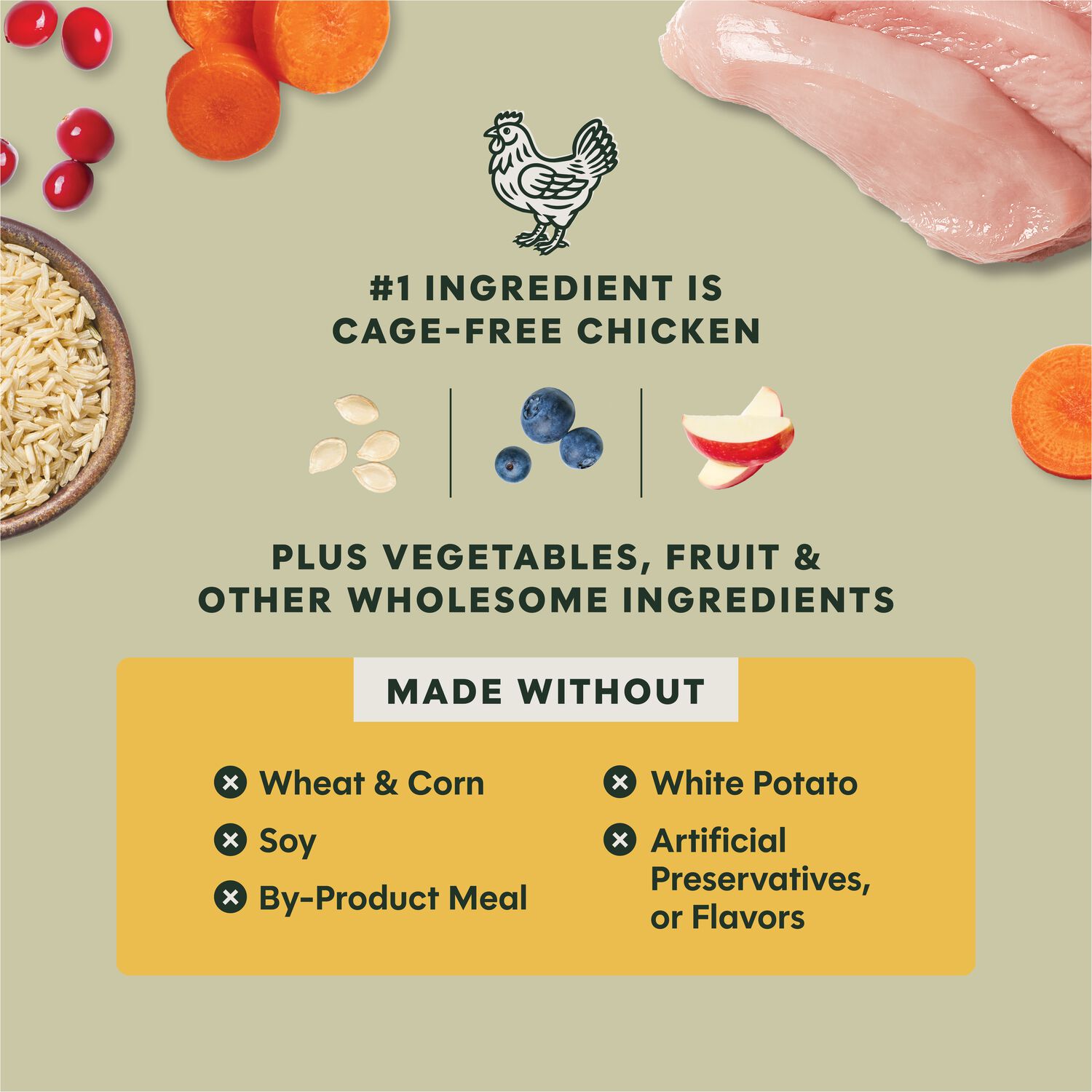 Instinct Raw Boost Whole Grain Real Chicken & Brown Rice Recipe Dry Dog Food, 20-Lb