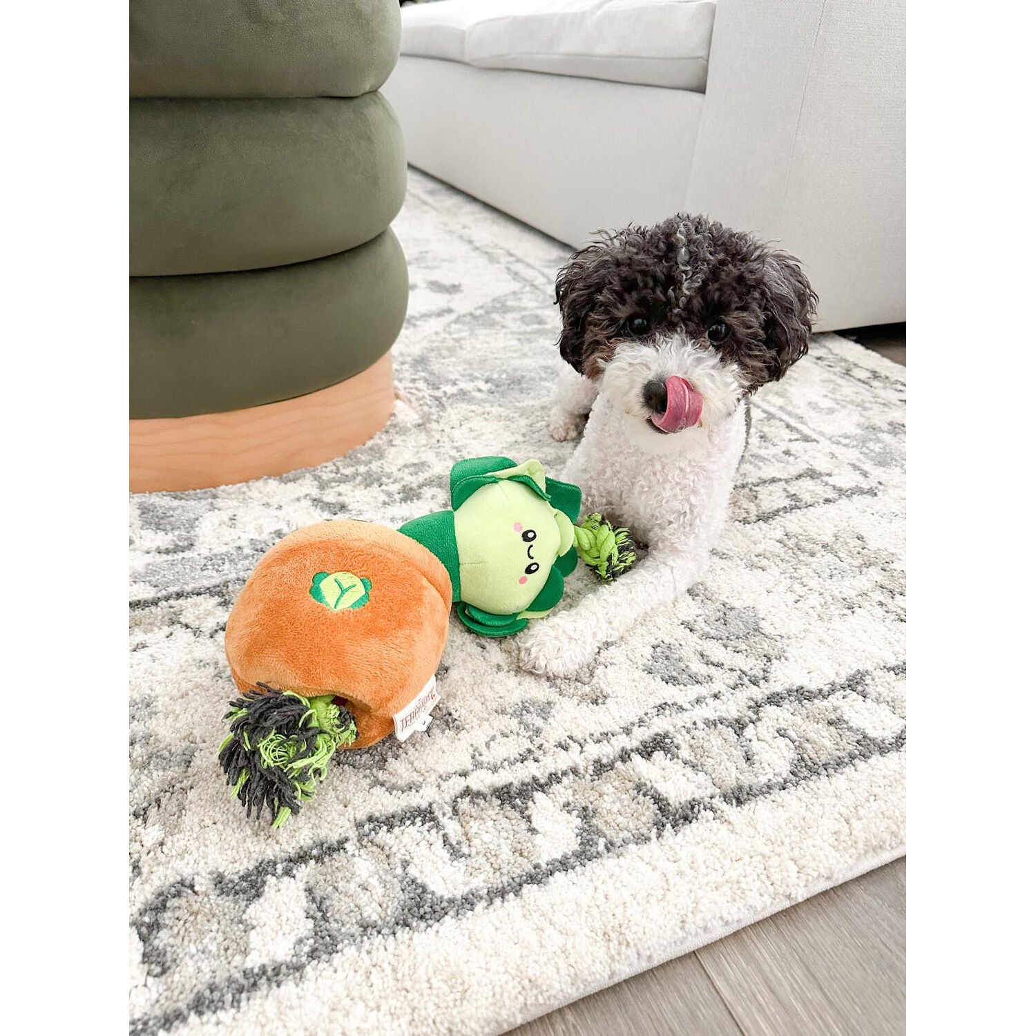 Territory Lettuce Treat-And-Tug Dog Toy, 15"
