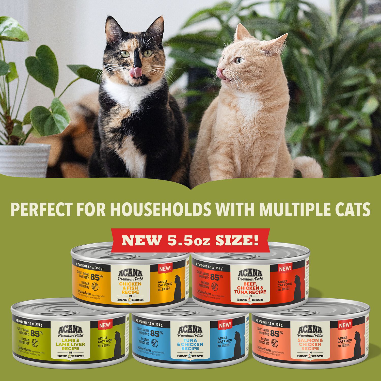 Acana Premium Pate Tuna And Chicken In Bone Broth Recipe Wet Cat Food, 3-Oz Pack Of 24