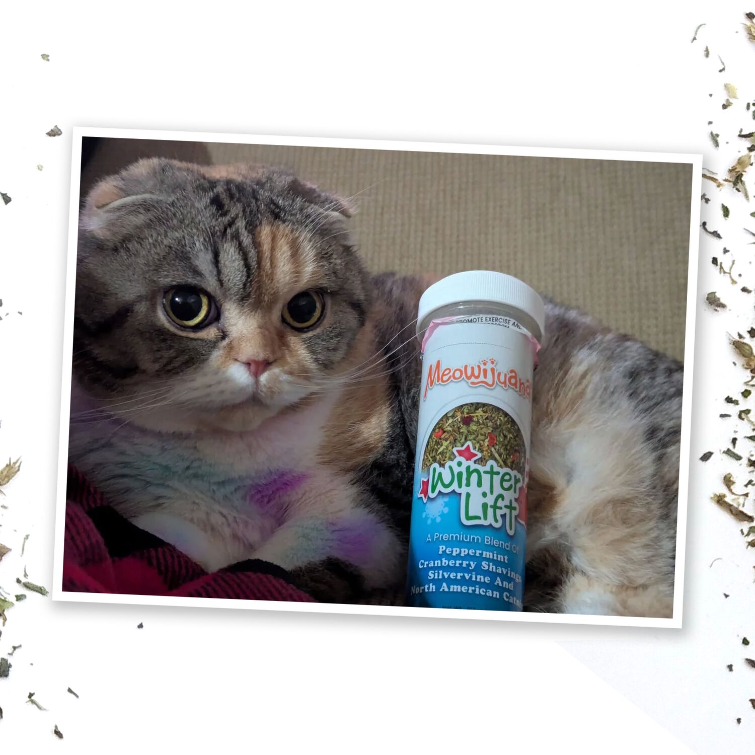 Meowijuana Winter Lift Peppermint & Silvervine Catnip Blend Cat Toy