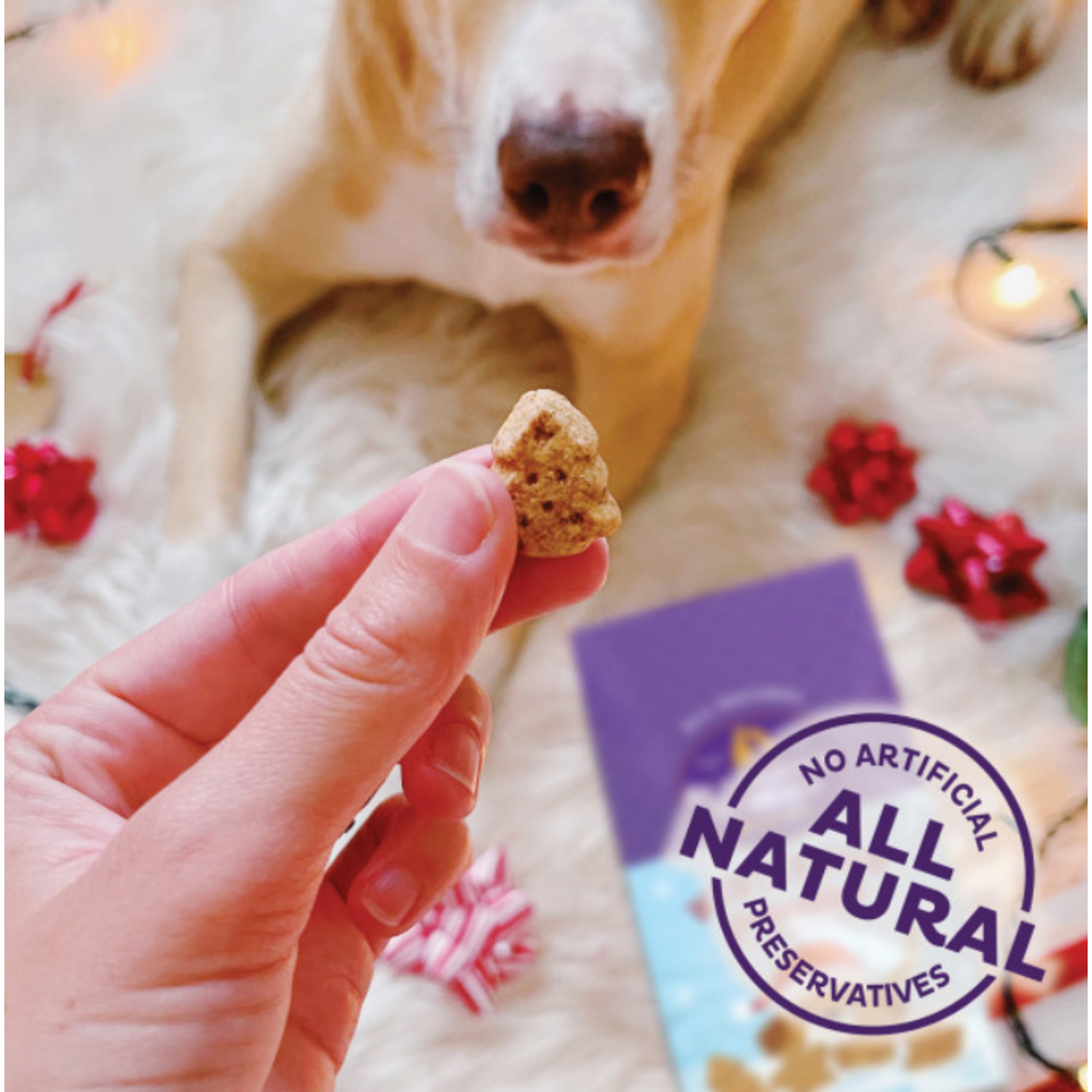 Wellness Old Mother Hubbard Winter Fun P-Nuttier Dog Biscuits, Natural, Seasonal, Holiday Dog Treats, Peanut Butter Flavor, 16 Ounce Bag