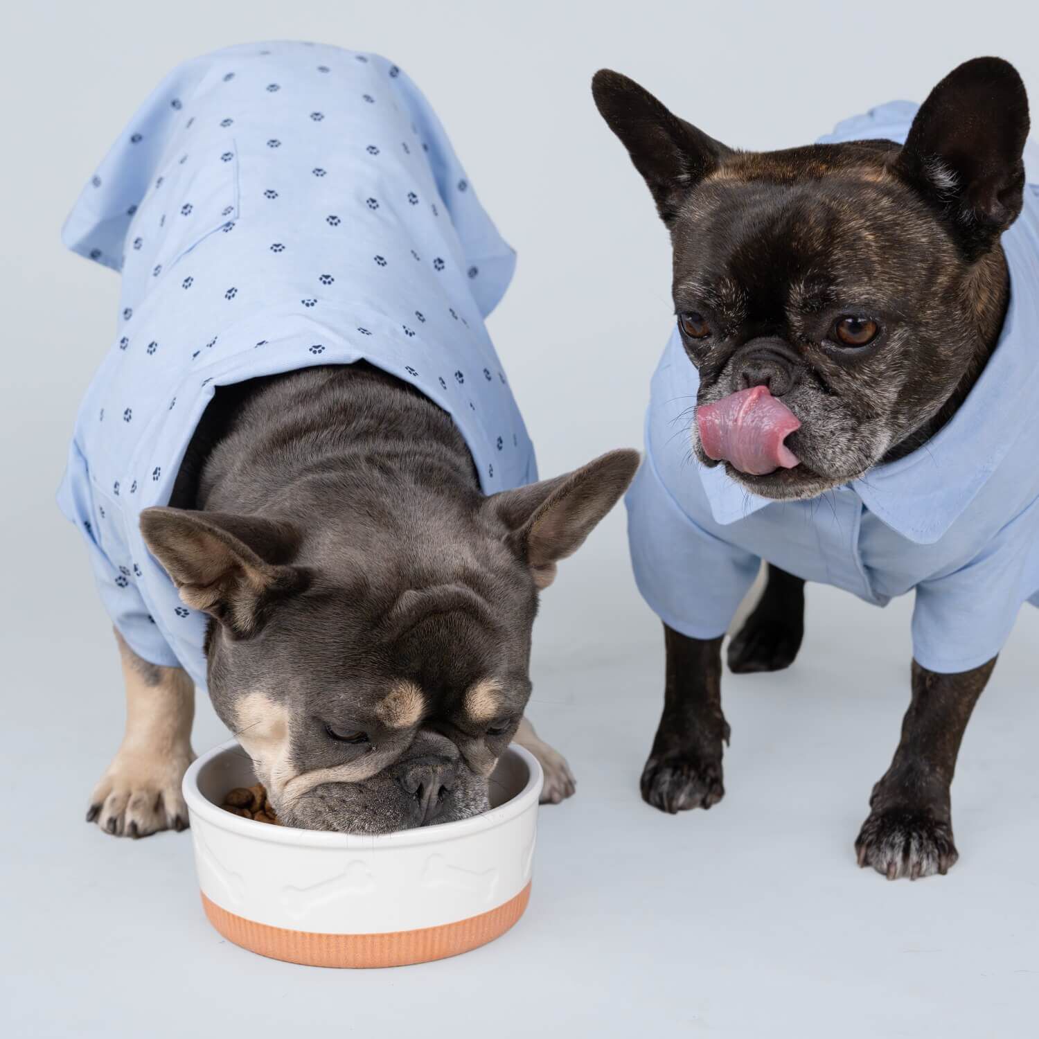 Gap White Bone Dog Bowl