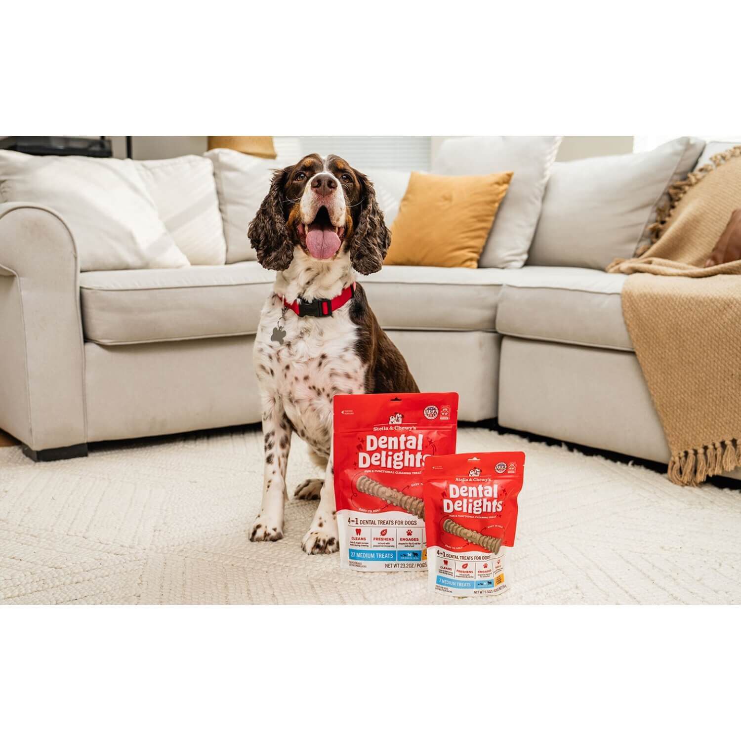 Stella & Chewy's Dental Delights Dog Treats, Medium, 27 Count