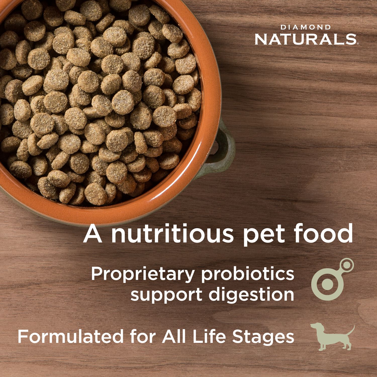 Diamond Naturals All Life Stages Skin & Coat Salmon & Potato Formula Dry Dog Food, 30-Lb Bag