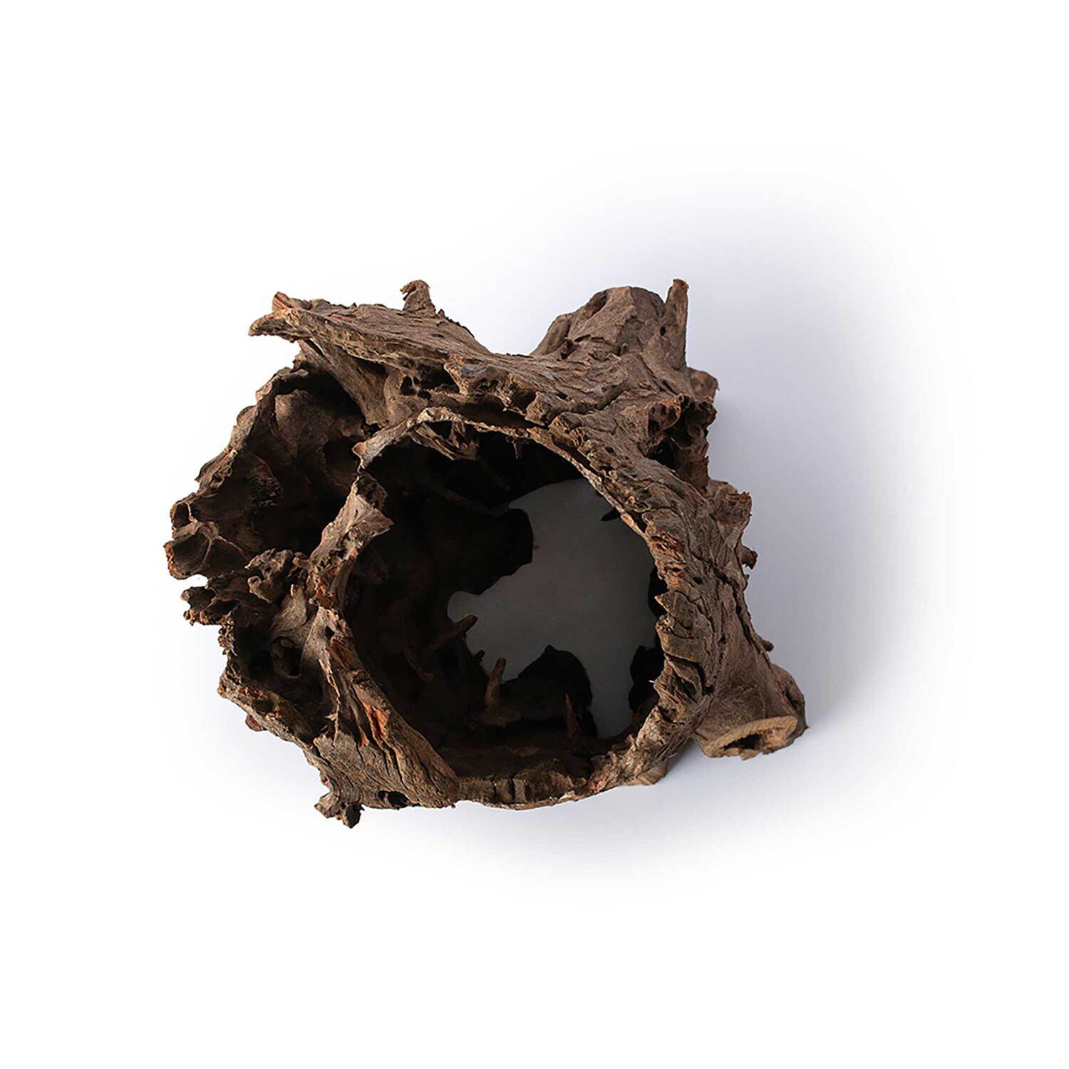 Gal&aacute;pagos Hollow Log, Eucalyptus Root Aquarium & Terrarium Decor, Natural, 6-8In