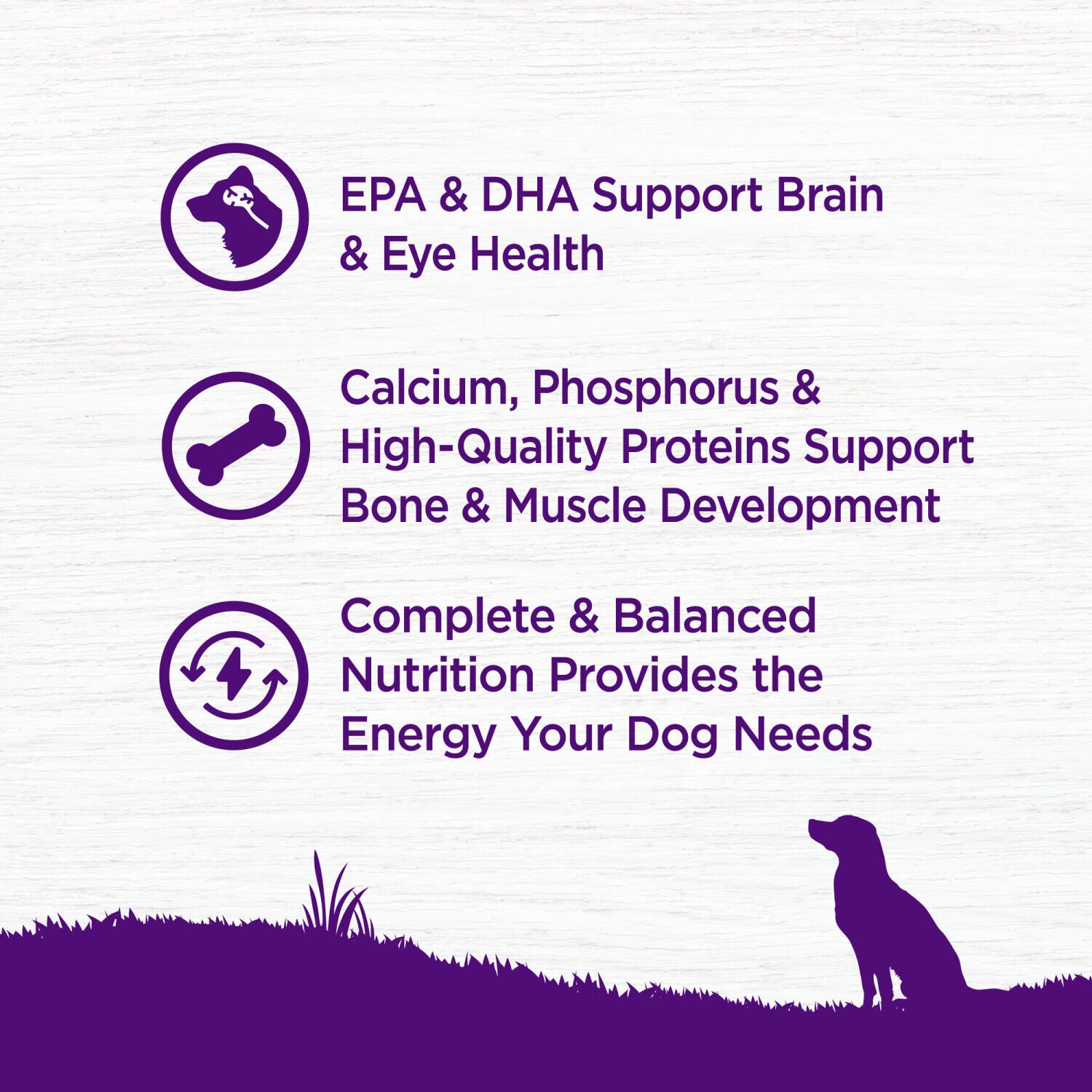 Wellness Complete Health Puppy Dry Dog Food, Wholesome Grains, Natural, Chicken, Oatmeal, & Salmon Recipe, 15-Pound Bag