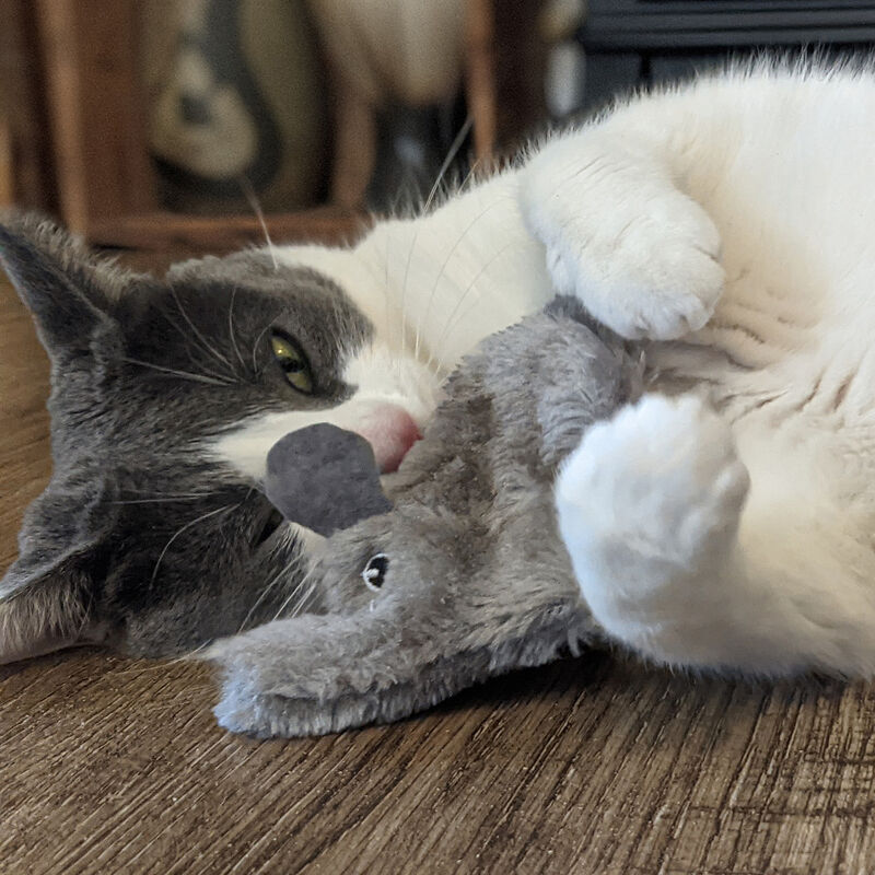 Spot Silvervine Refillable Catnip Plush Cat Toy, Assorted