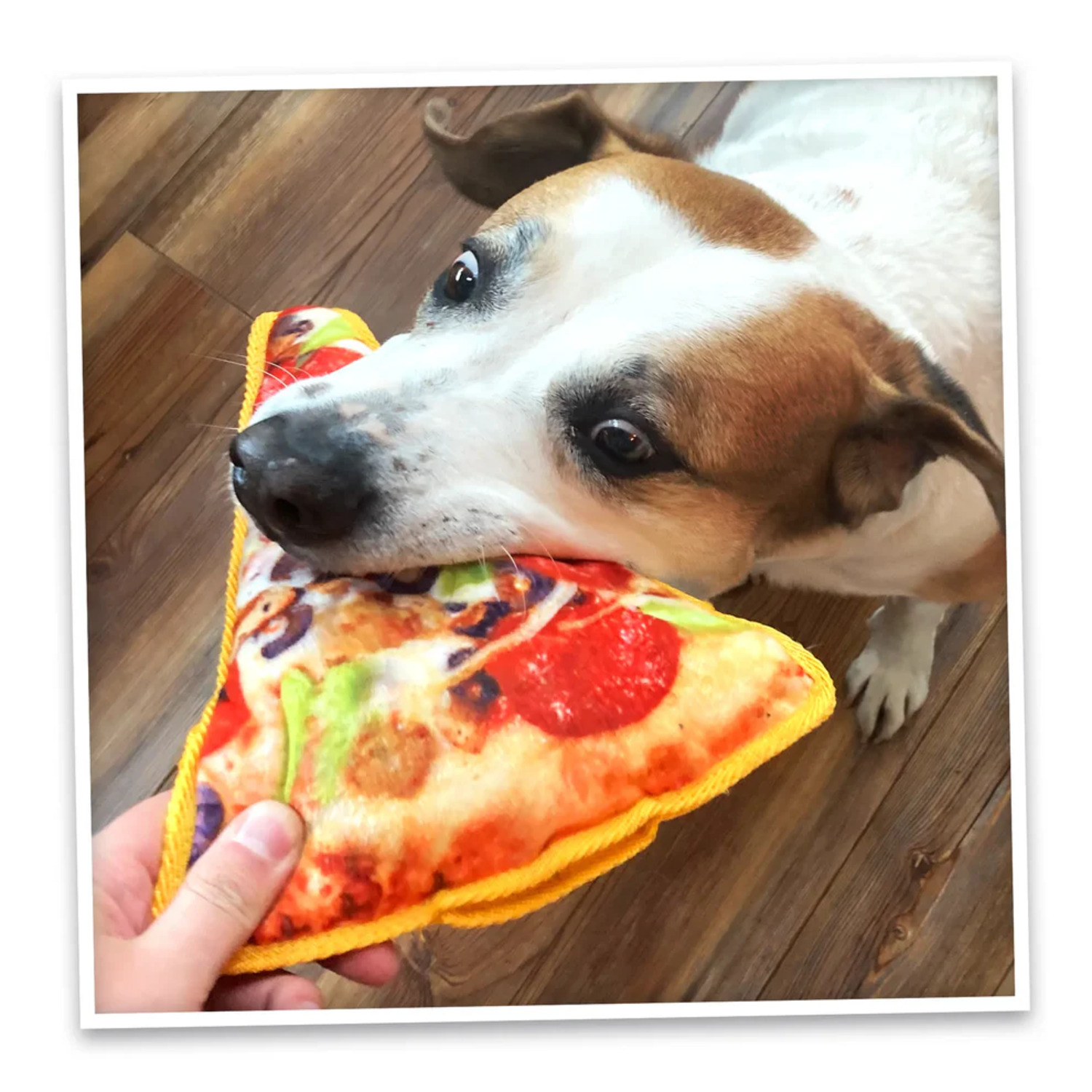 Doggijuana Tuffer Chewer Supreme Pizza Juananip Refillable Dog Toy