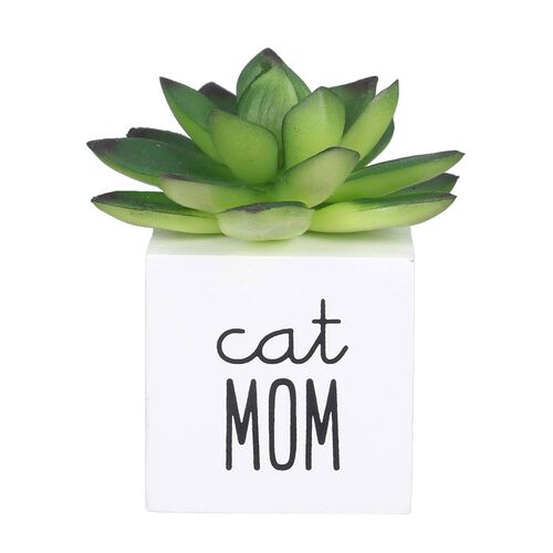 Wood Cat Mom Succulent