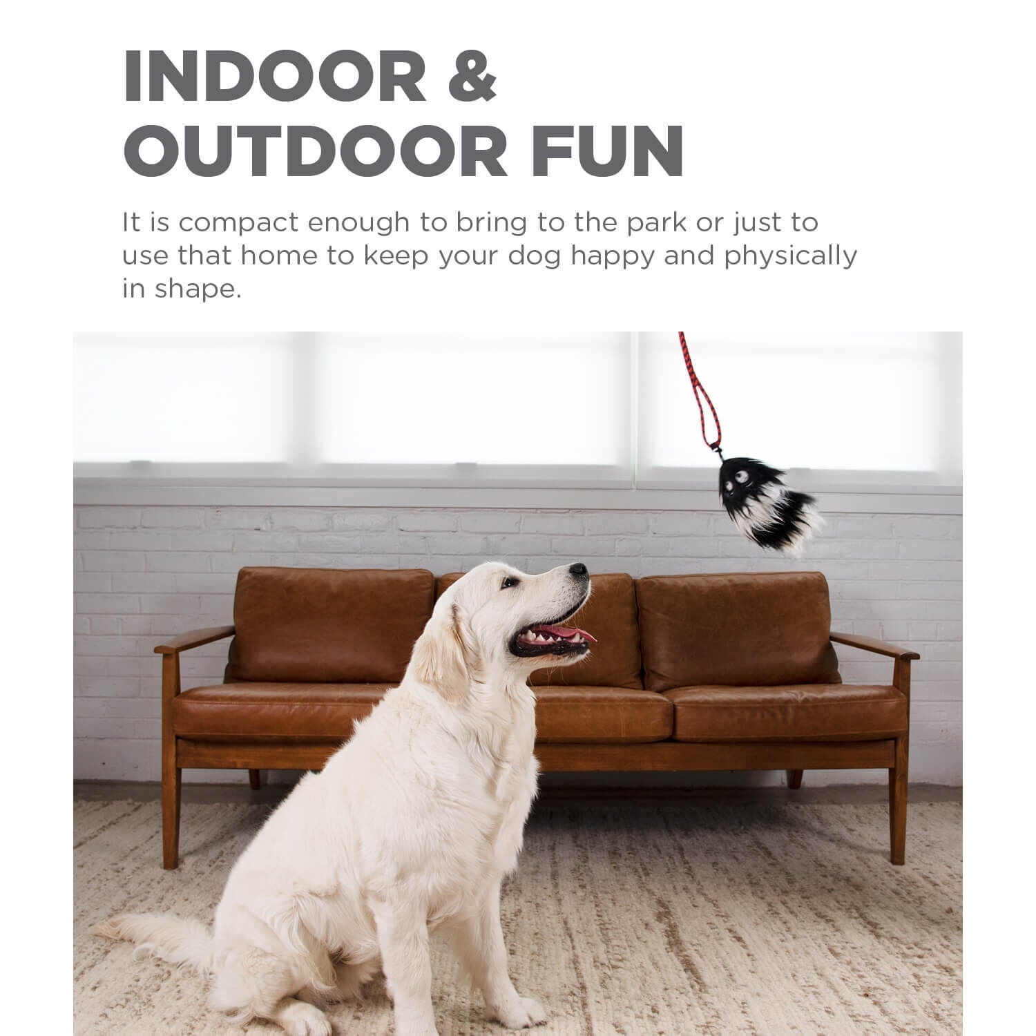 Outward Hound Tail Teaser Durable Dog Wand Toy