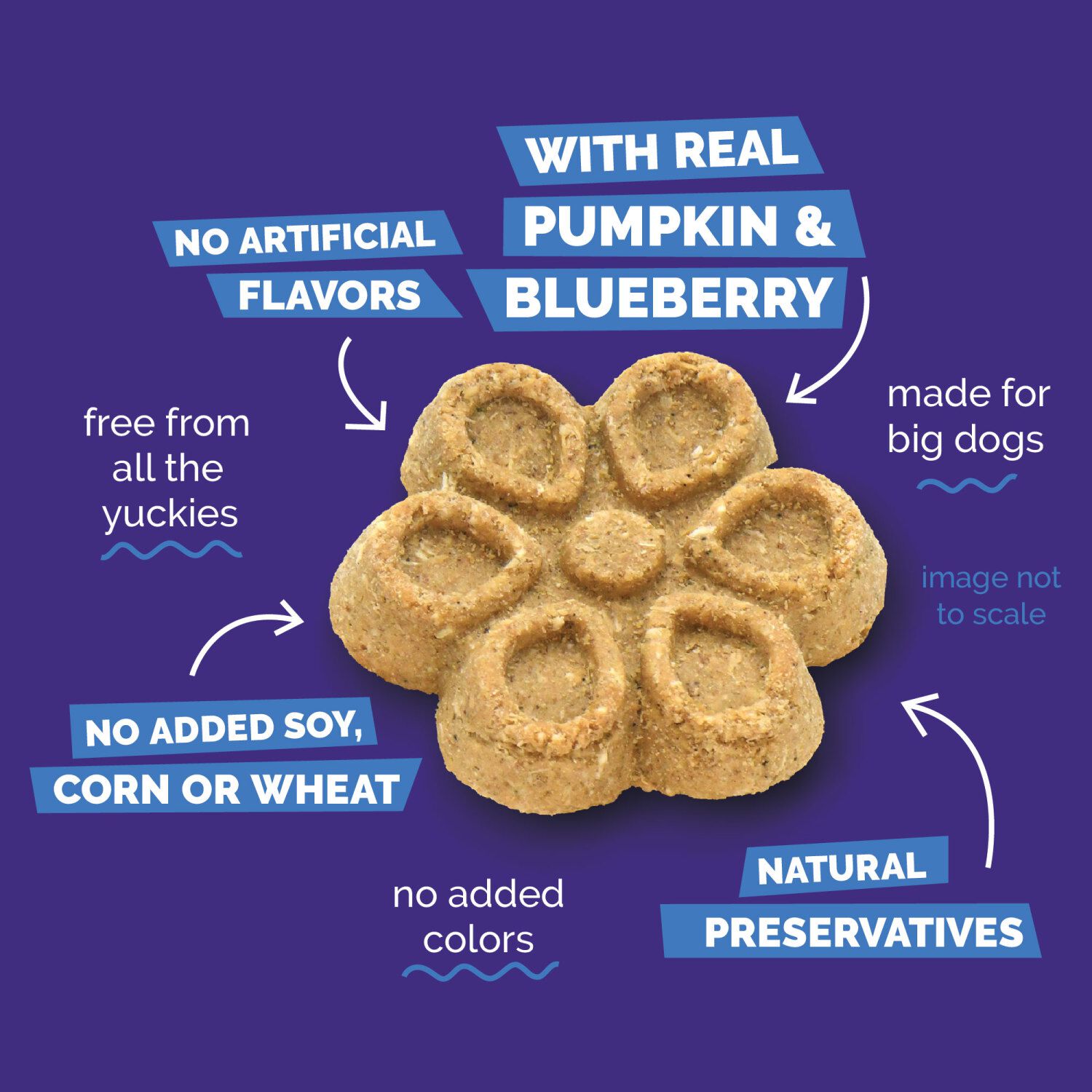 Fruitables Biggies Crunchy Biscuit Dog Treats, Pumpkin & Blueberry, 16-Oz