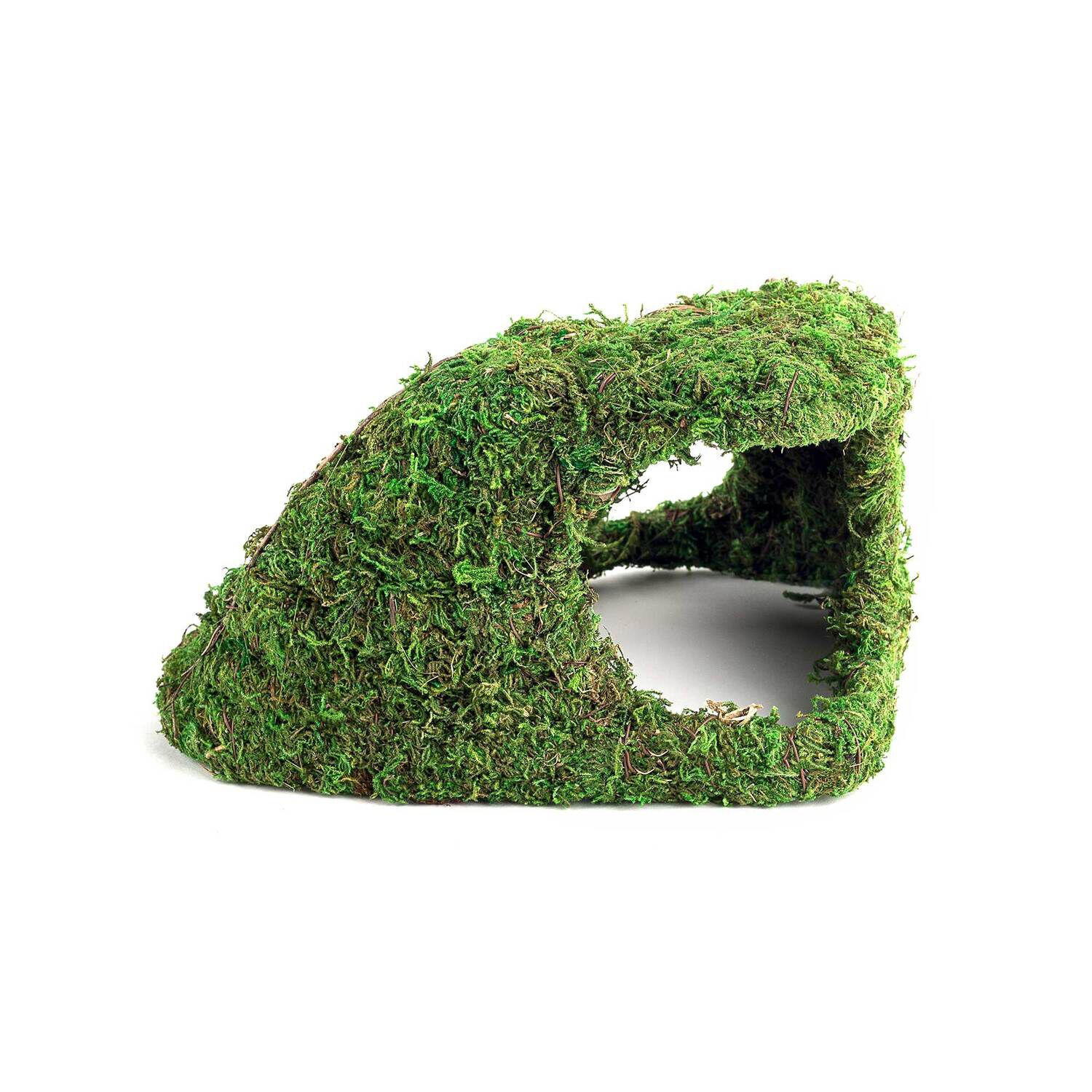Gal&aacute;pagos Sapa Corner Reptile Hideout, Green, 10 X 5.5In