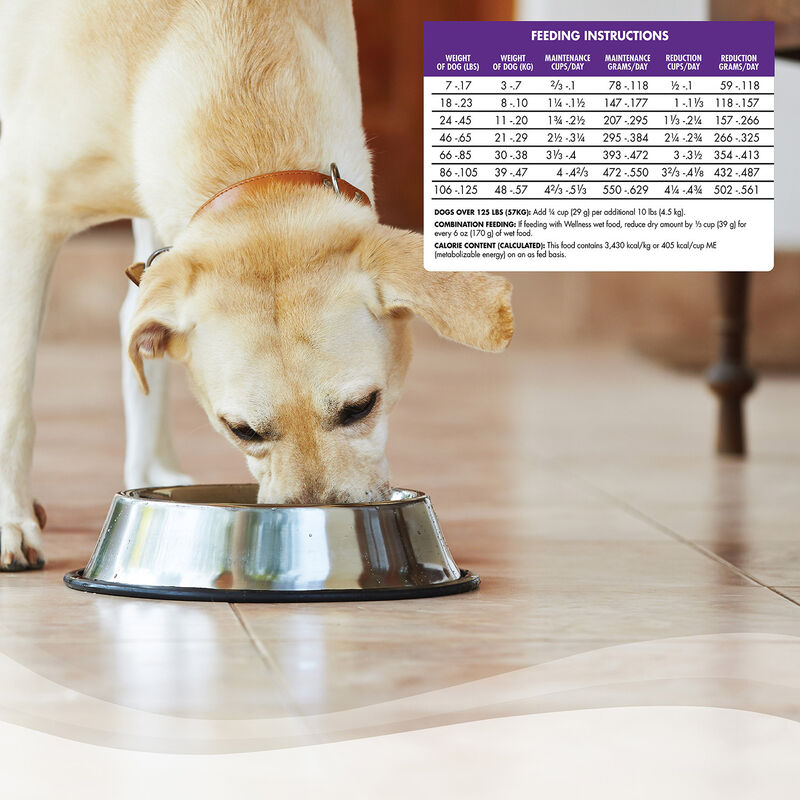 Complete Health Healthy Weight Chicken & Peas Recipe Dog Food