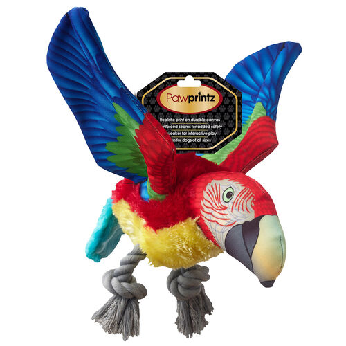 Parrot Dog Toy