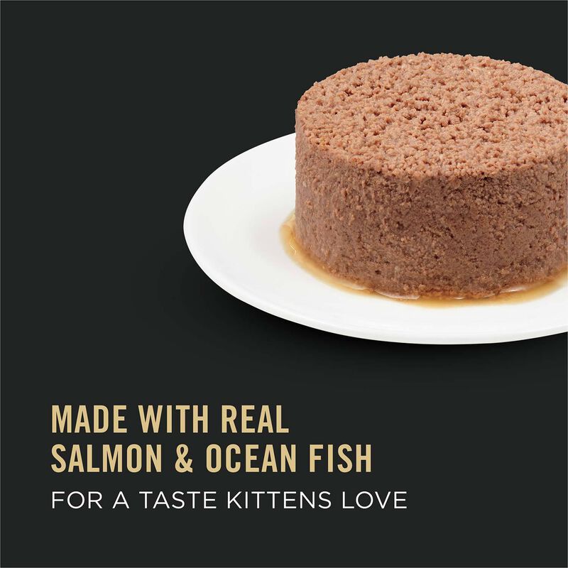 Focus Kitten Salmon & Ocean Fish Entree Cat Food image number 17