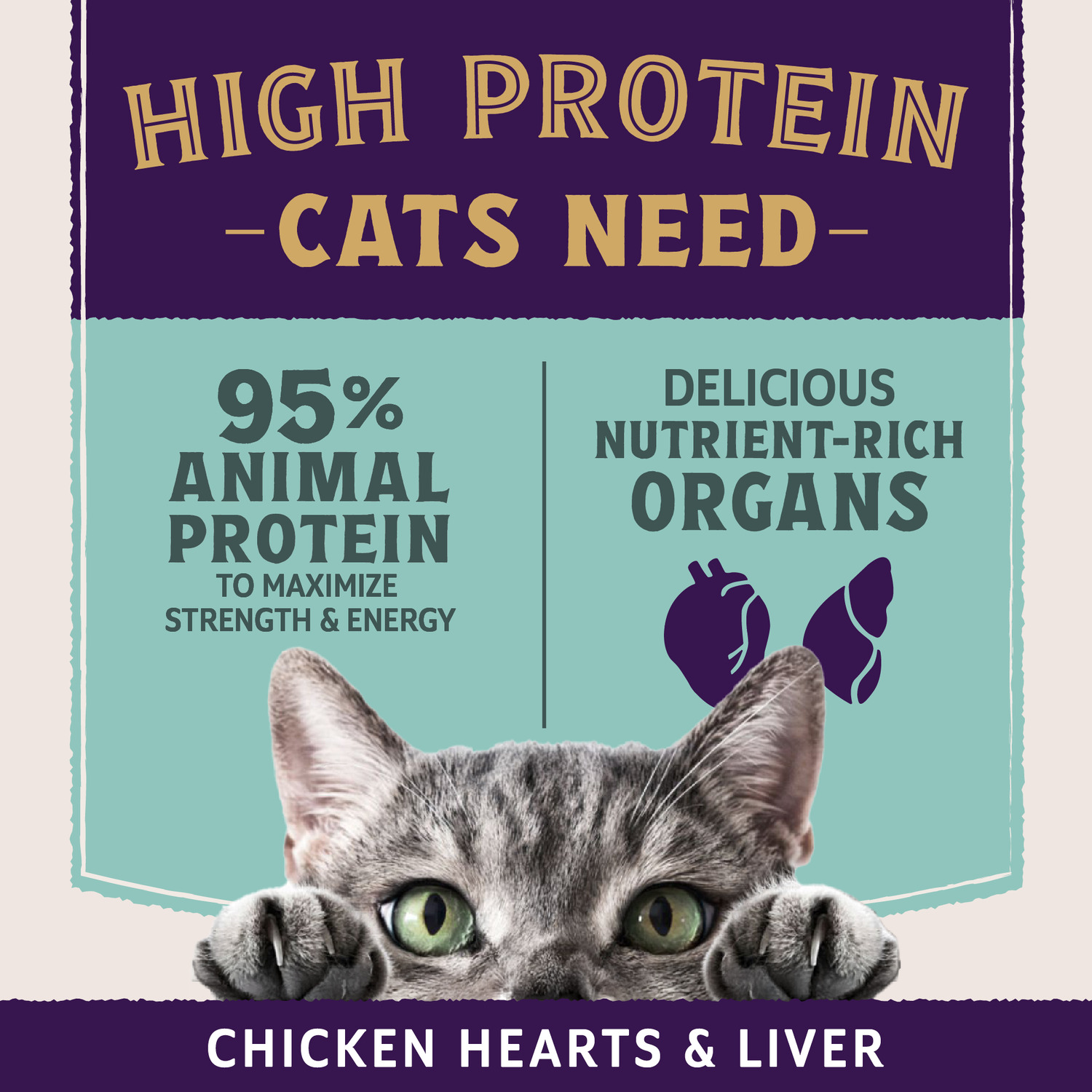 Natural Balance Ultra Protein Plus Wet Cat Food, Immune And Digestive Health Real Chicken With Pumpkin Recipe Puree Topper, 2.4-Oz.