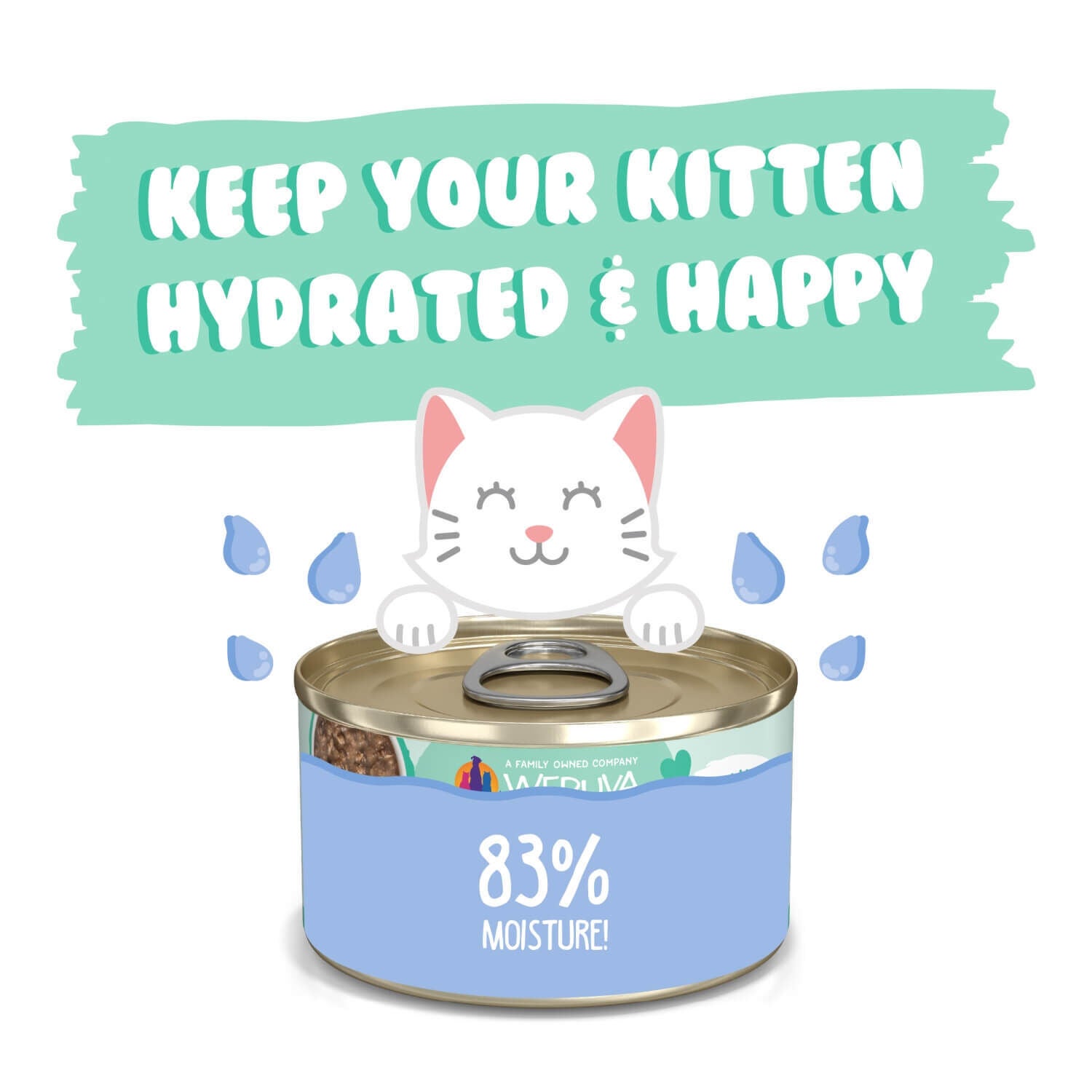 Weruva Kitten Grain Free Chicken & Tuna Formula In Gravy Wet Cat Food, 3-Oz Can