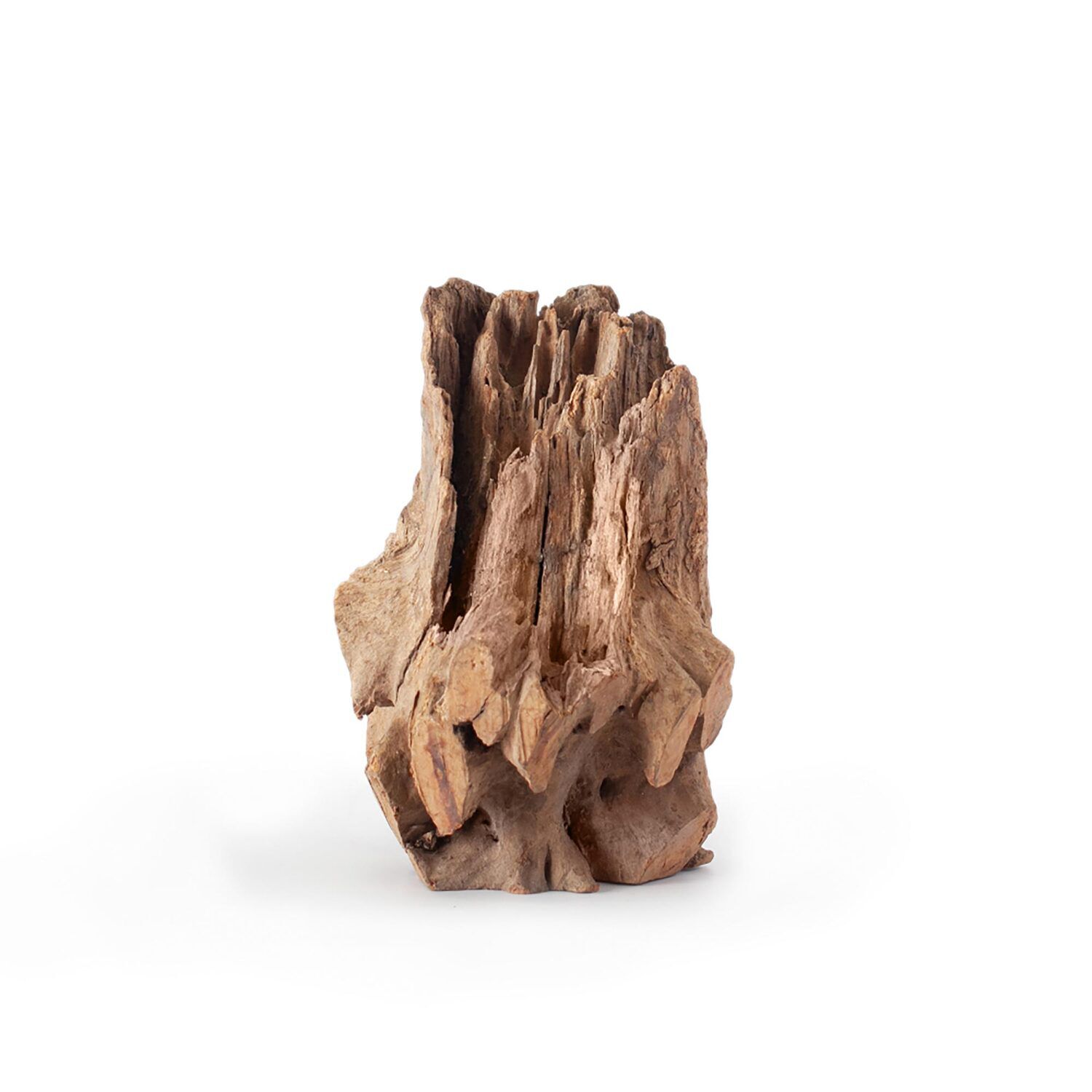 Gal&aacute;pagos Hollow Log, Eucalyptus Root Aquarium & Terrarium Decor, Natural, 6-8In