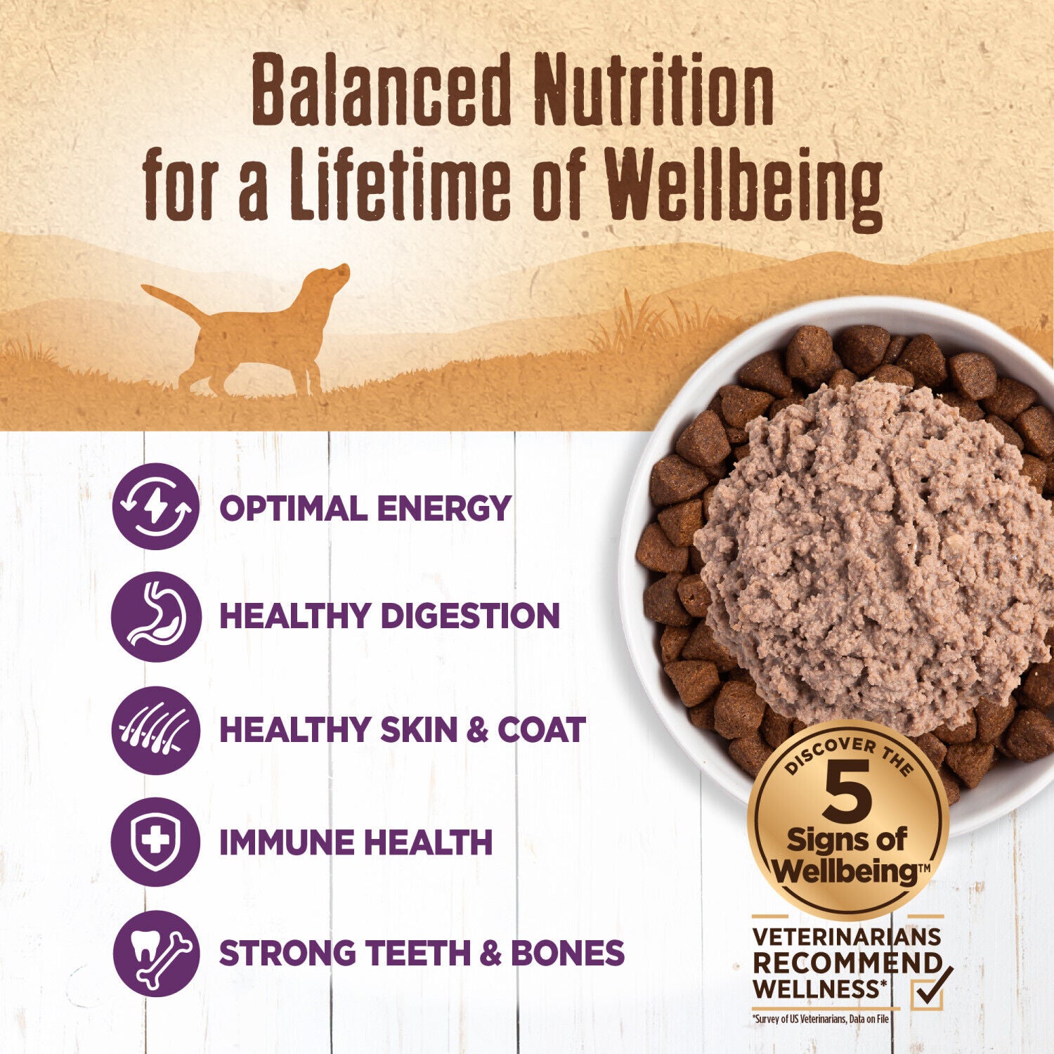 Wellness 95% Chicken Natural Wet Grain Free Canned Dog Food, 13.2-Ounce Can