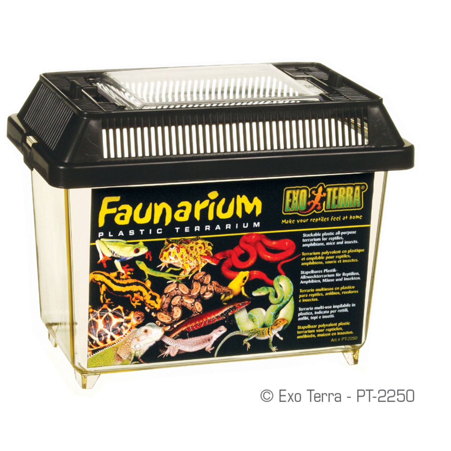 Exo Terra Faunarium Plastic Terrarium