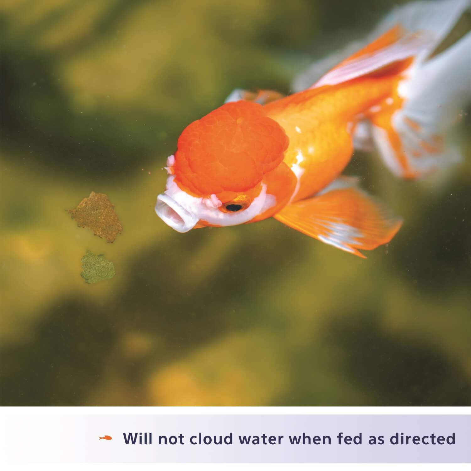 Aqueon Goldfish Flakes Fish Food