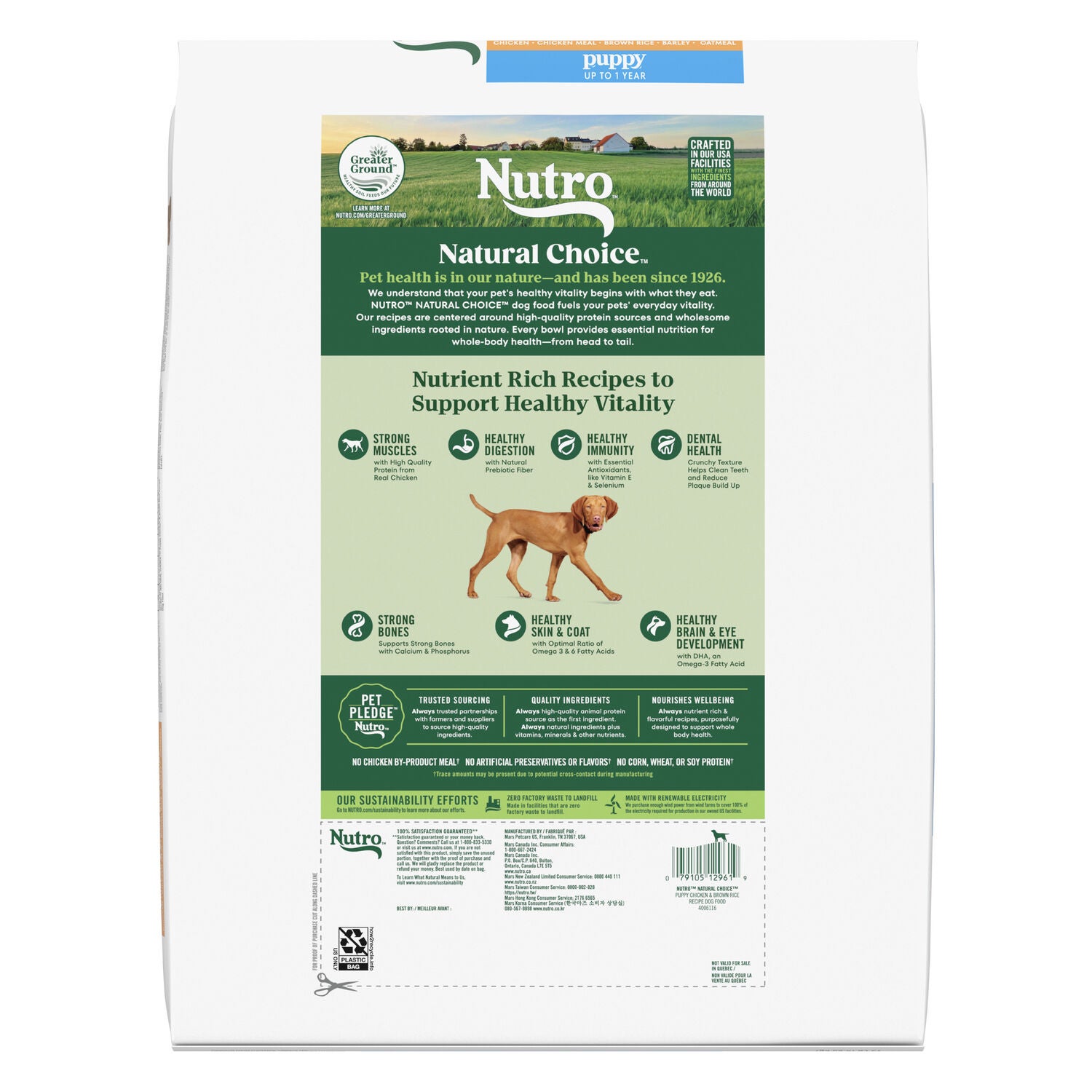 Nutro Natural Choice Puppy Chicken & Brown Rice Recipe Dry Dog Food, 5-Lb. Bag
