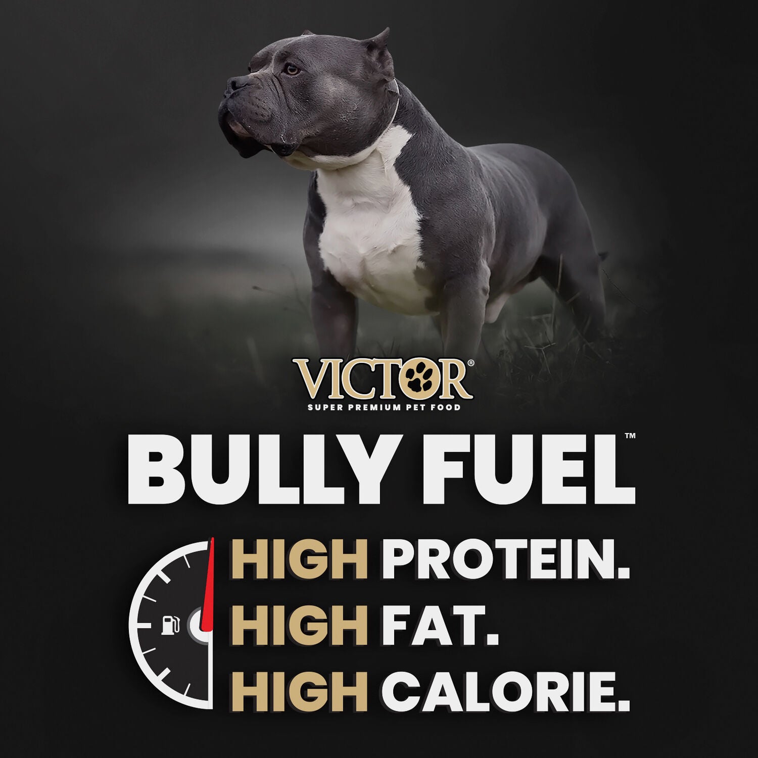 Victor Bully Fuel Pit Bull Dry Formula Dog Food, 40-Lb Bag