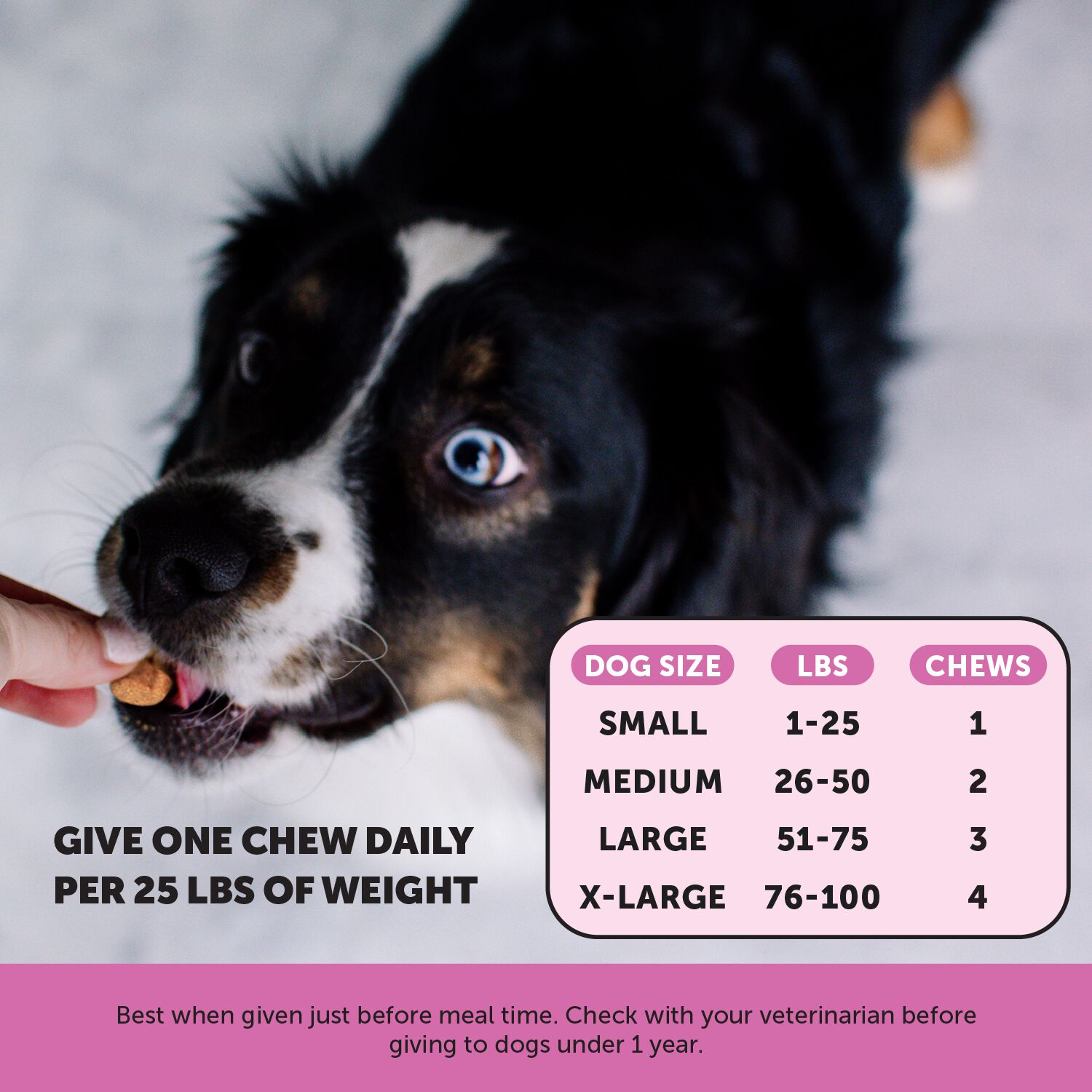 Pet Honesty Multivitamin 10-In-1 Multivitamin Chews For Senior Dogs, Duck Flavor, 90-Ct