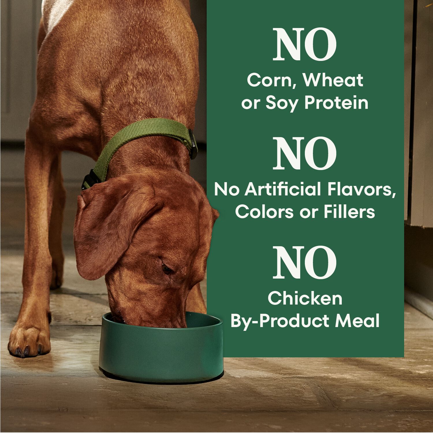 Nutro Wholesome Essentials Large Breed Adult Chicken, Whole Brown Rice & Sweet Potato Recipe Dog Food, 30-Lb