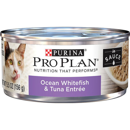Ocean Whitefish & Tuna Entree In Sauce